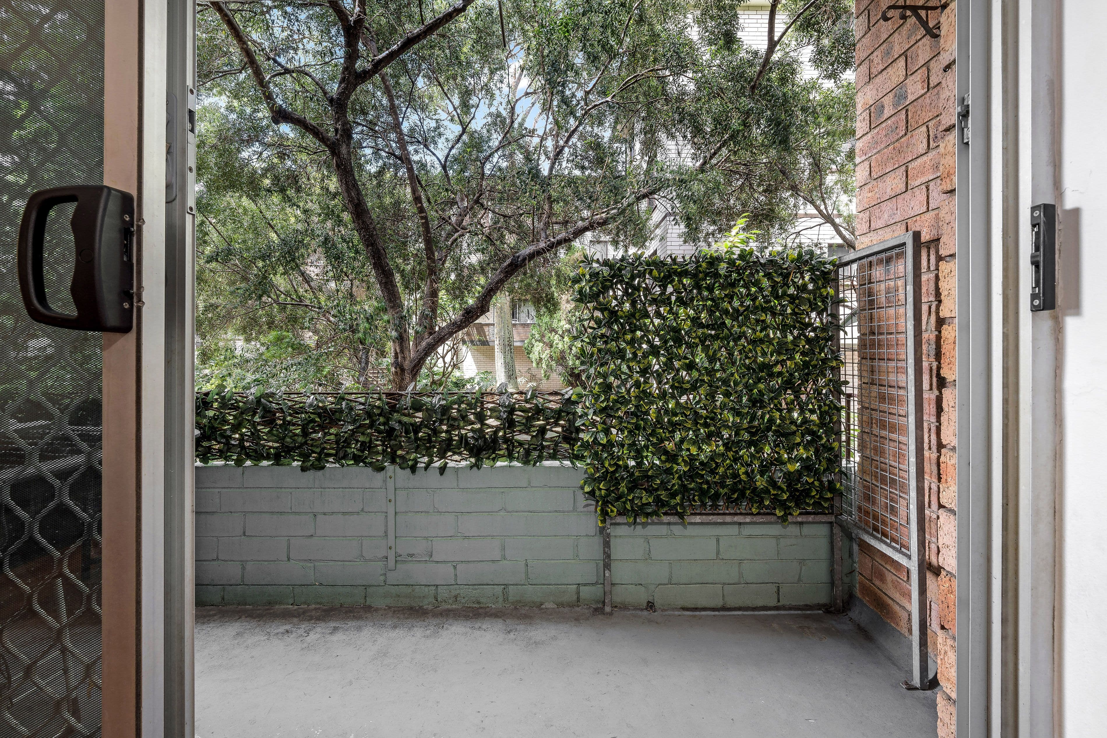 54 Ocean Street, Penshurst NSW 2222, Penshurst - Thumbnail 3