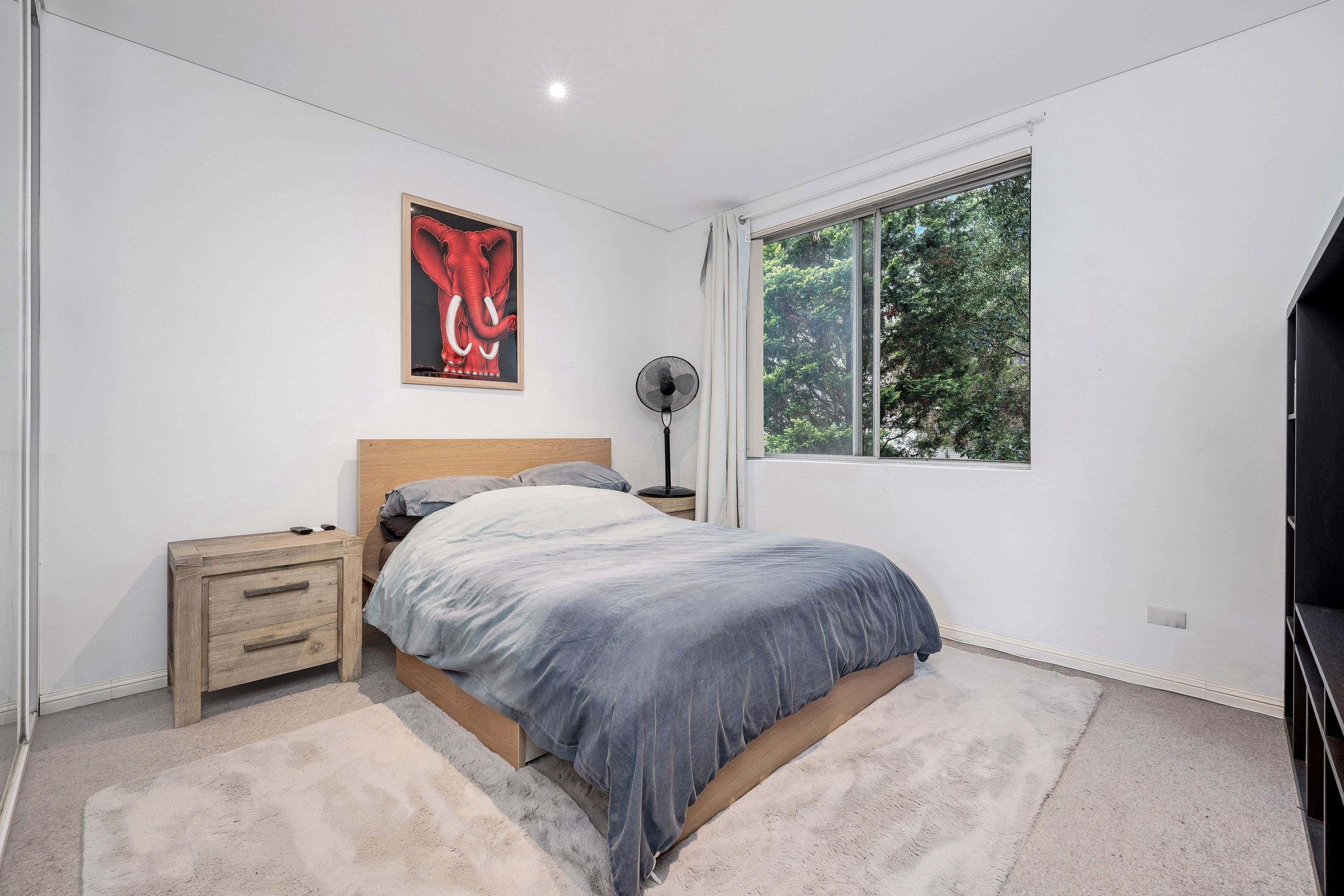 54 Ocean Street, Penshurst NSW 2222, Penshurst - Thumbnail 7