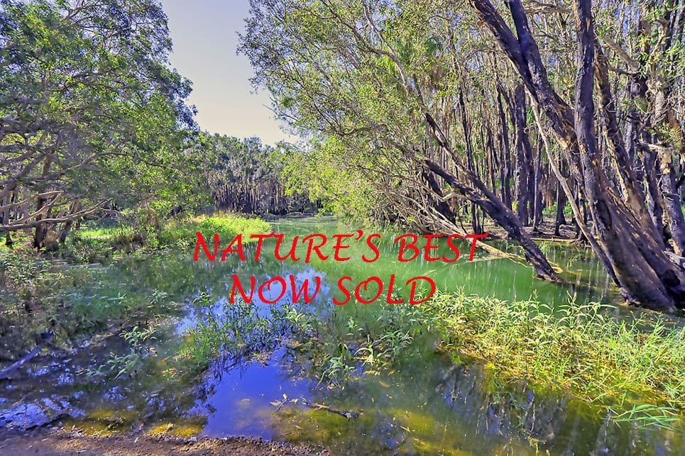 Lot 26 Deepwater Road, Deepwater QLD 4674, Deepwater - Image 1