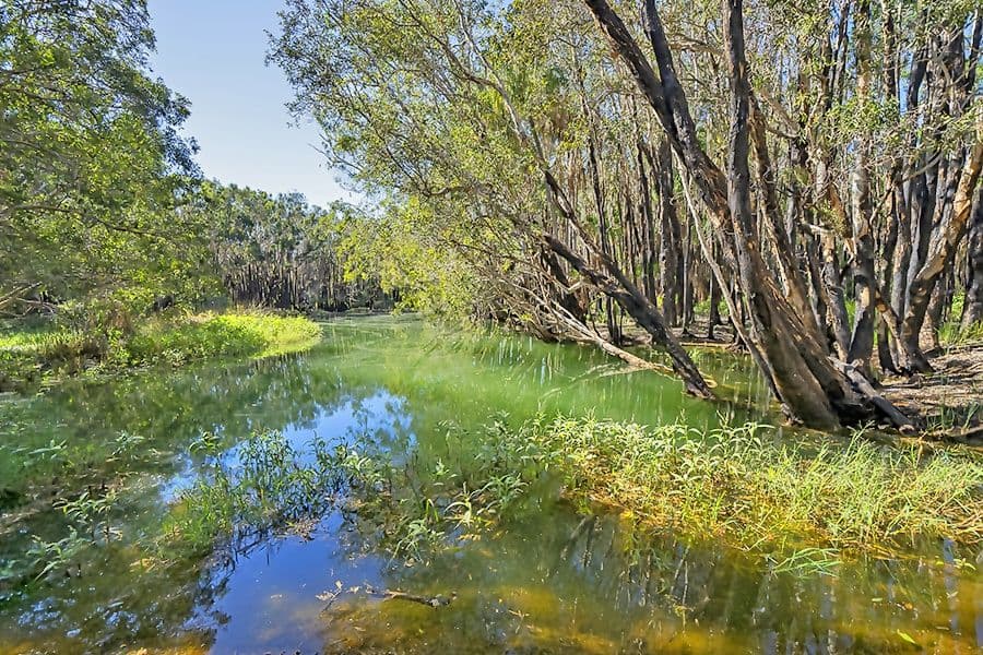 Lot 26 Deepwater Road, Deepwater QLD 4674, Deepwater - Thumbnail 3
