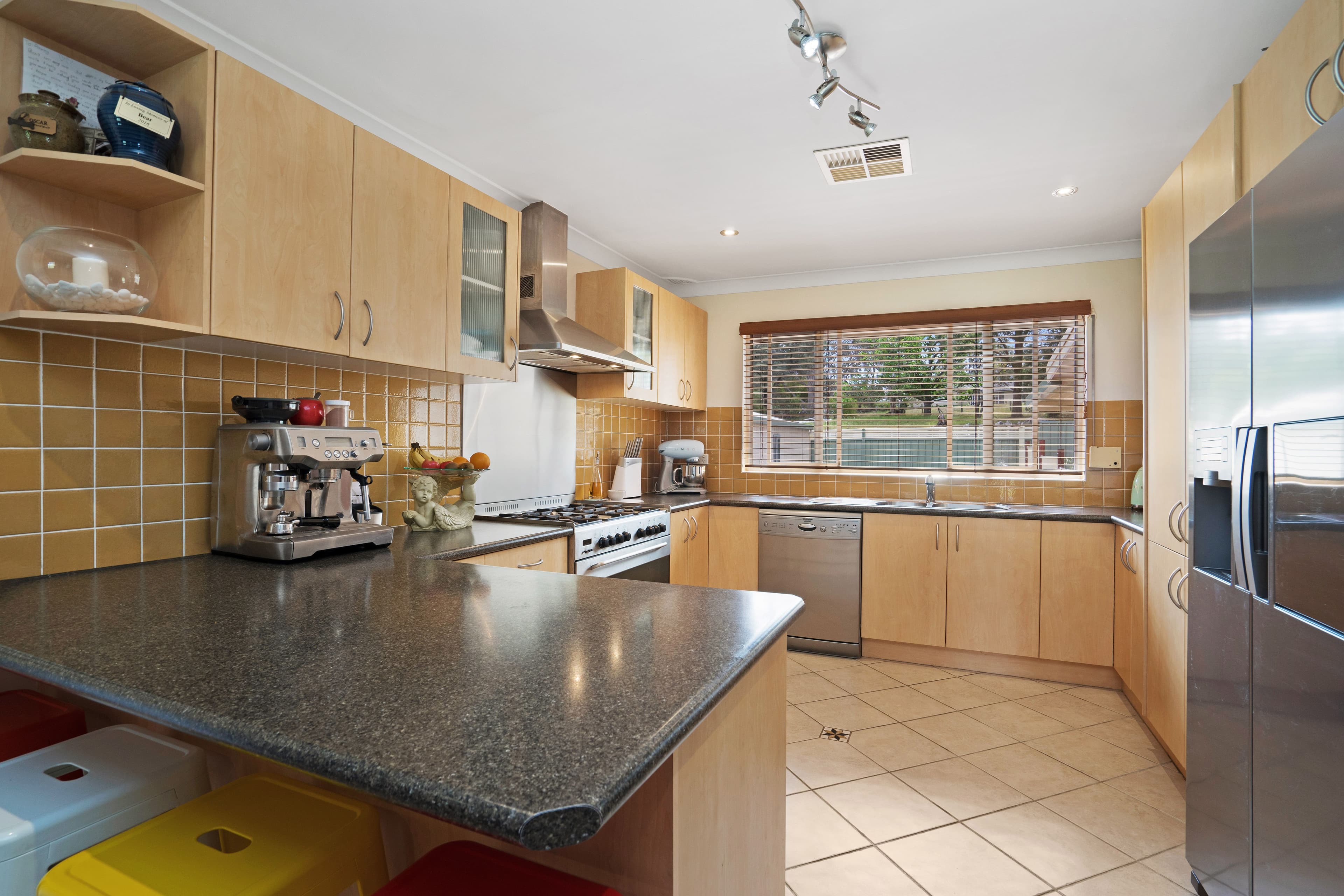 100 Paterson Road, Bolwarra - Thumbnail 2
