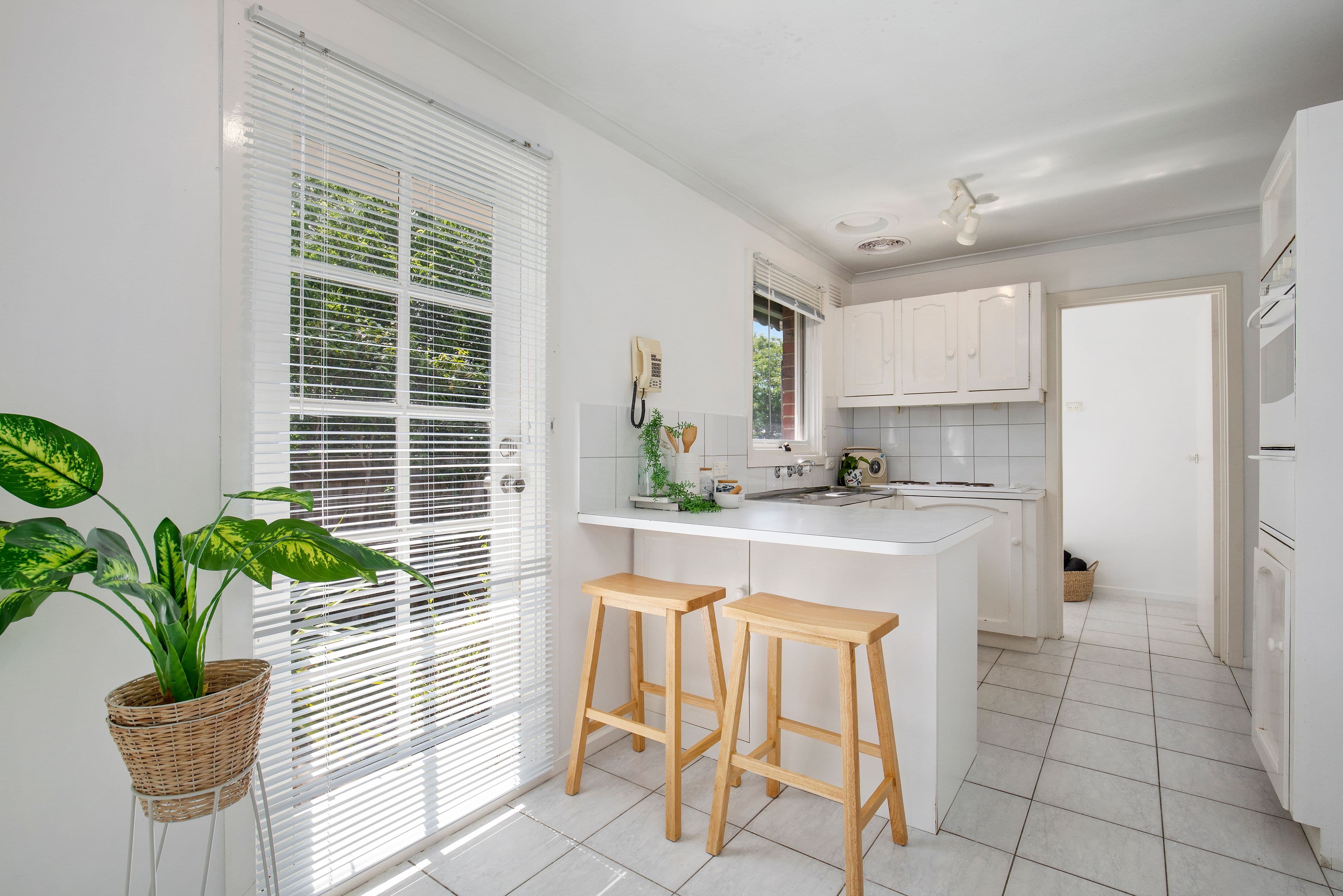 17 Jellicoe Street, Cheltenham VIC 3192, Cheltenham - Thumbnail 7