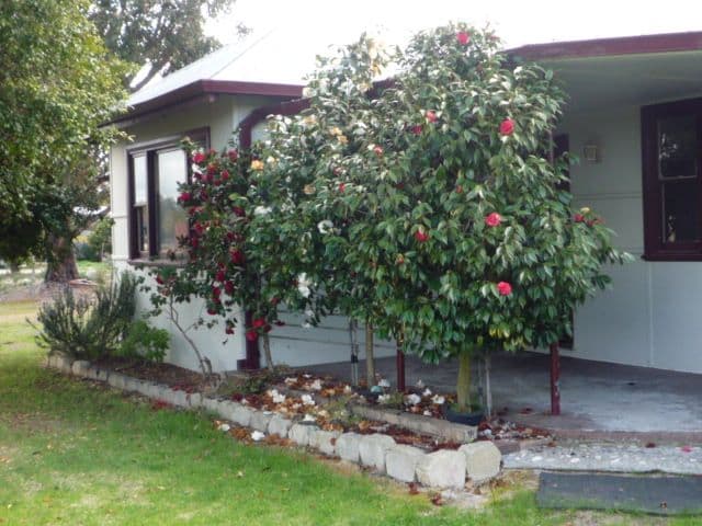 CRANBROOK WA 6321, Cranbrook - Thumbnail 2