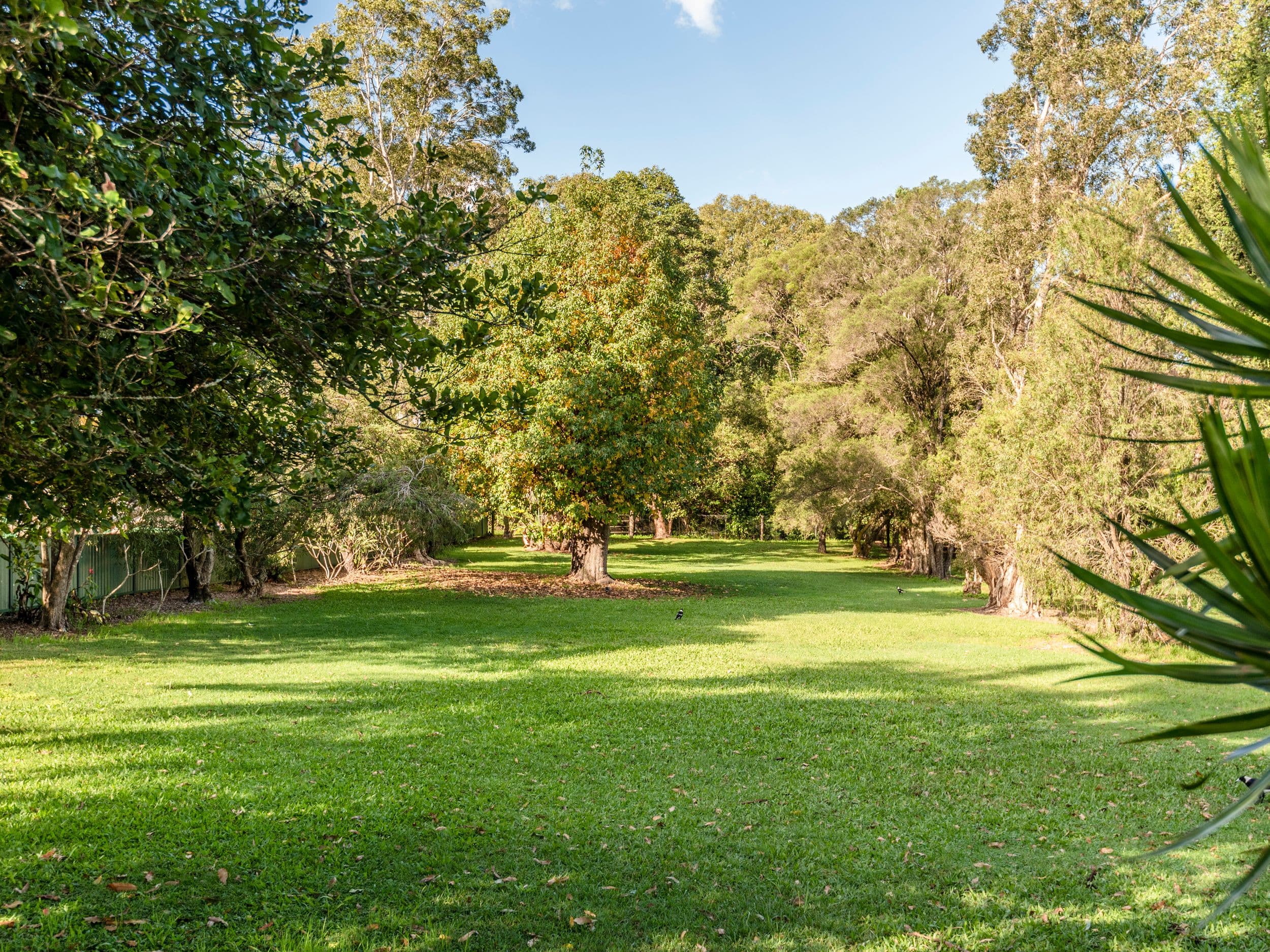 8 Clifford Street, Goonellabah NSW 2480, Goonellabah - Thumbnail 3