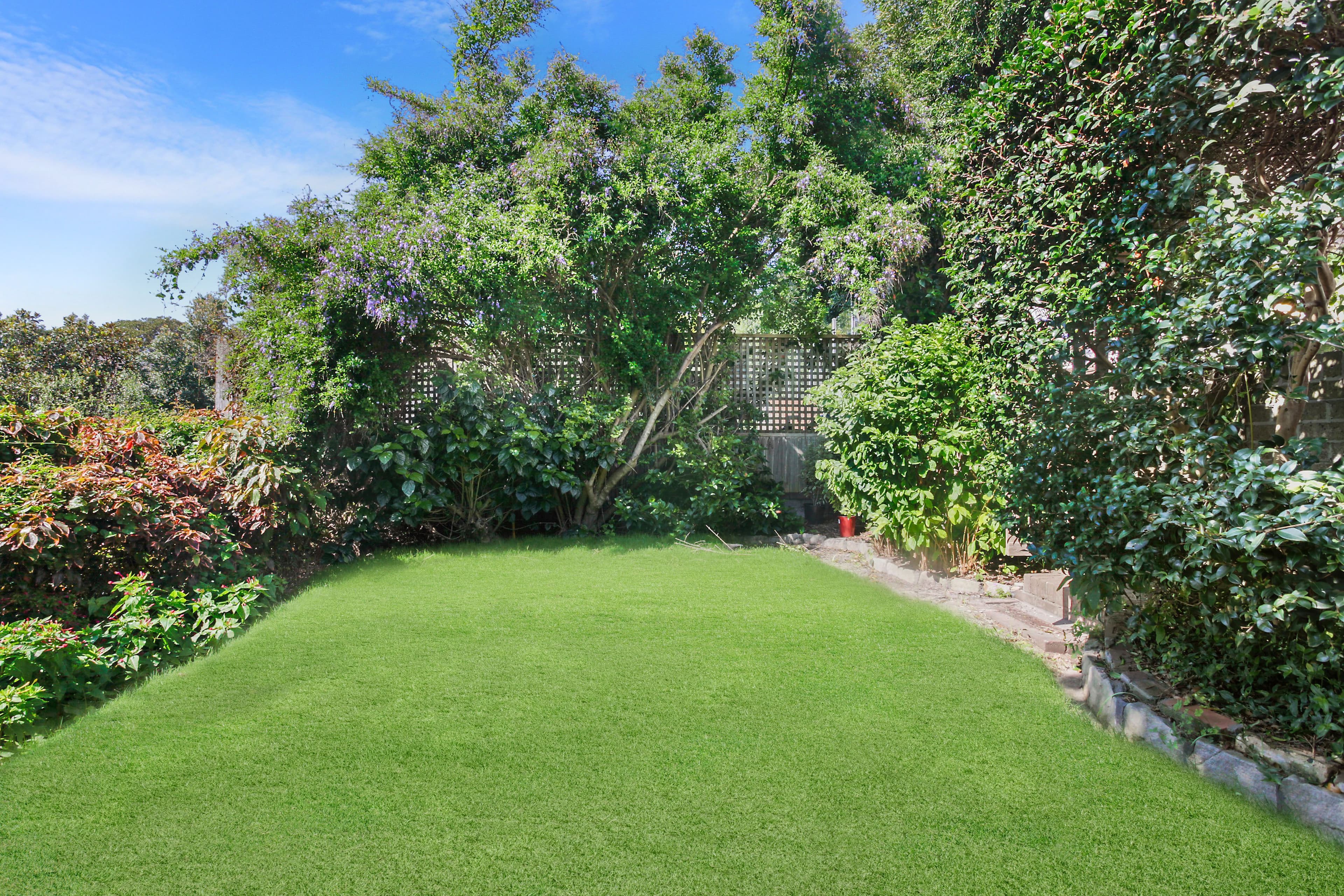 31 Knox Street, Clovelly NSW 2031, Clovelly - Thumbnail 5