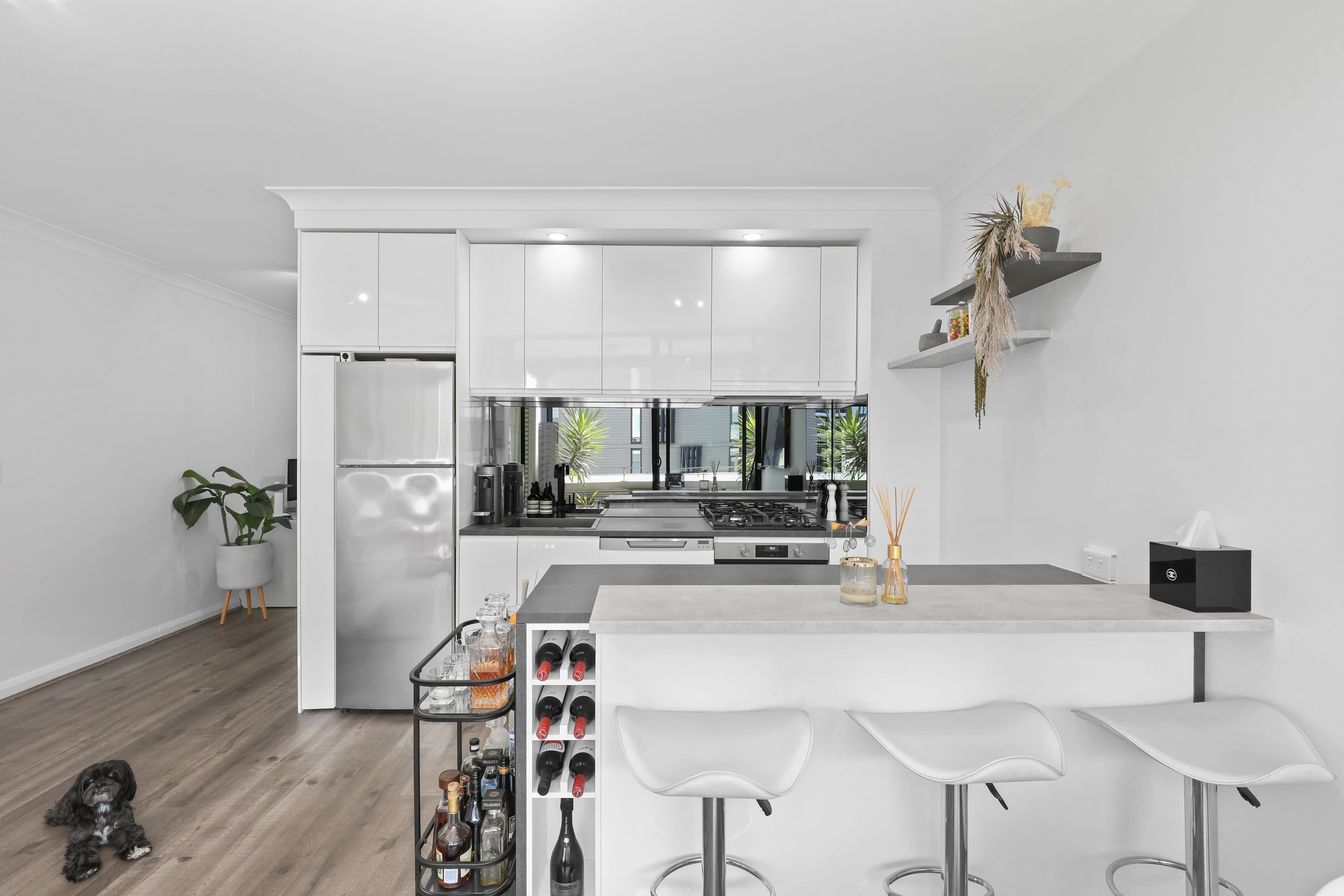 11a Lachlan Street, Waterloo NSW 2017, Waterloo - Image 1