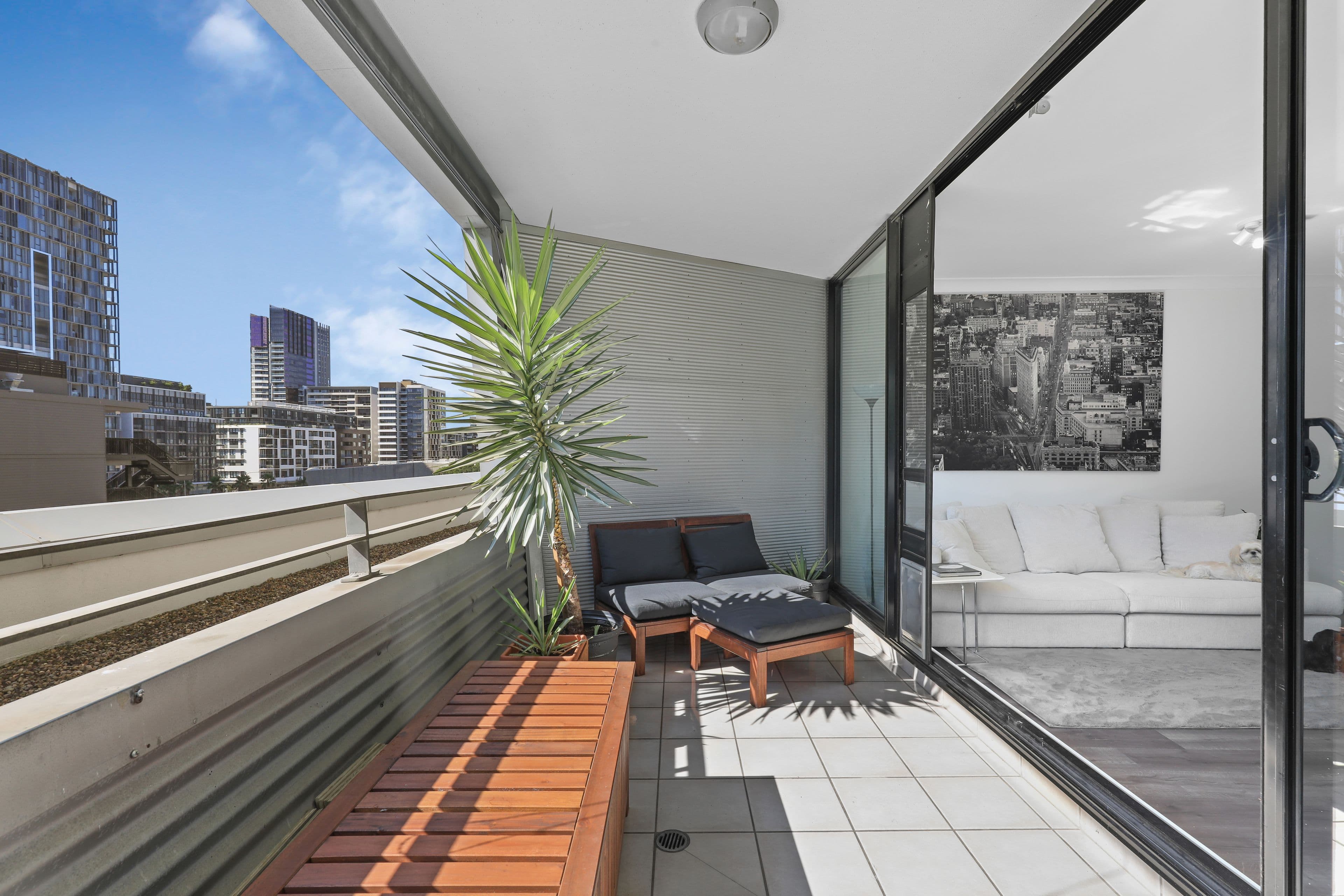 11a Lachlan Street, Waterloo NSW 2017, Waterloo - Thumbnail 2