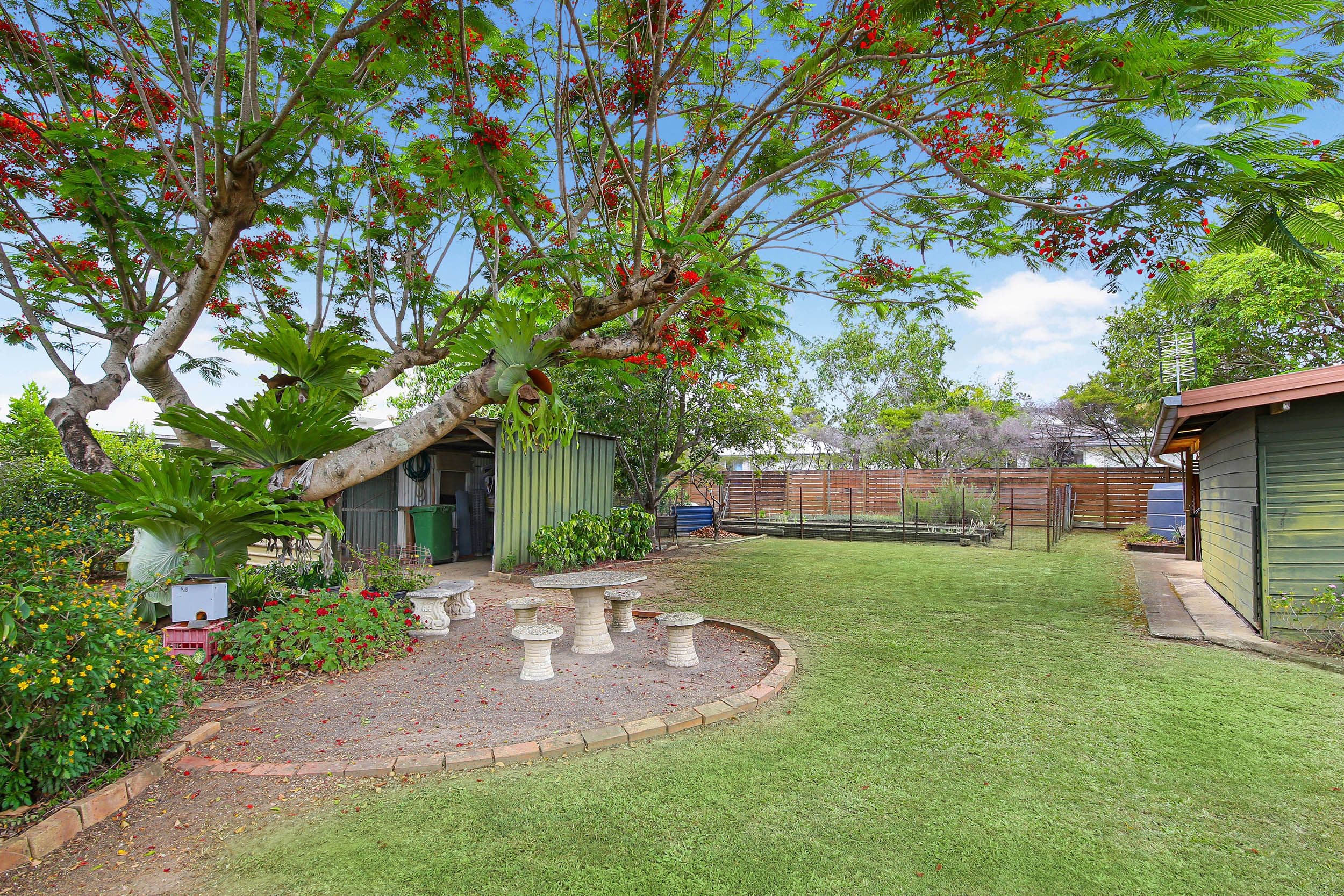 95 Garnet Street, Cooroy QLD 4563, Cooroy - Thumbnail 3