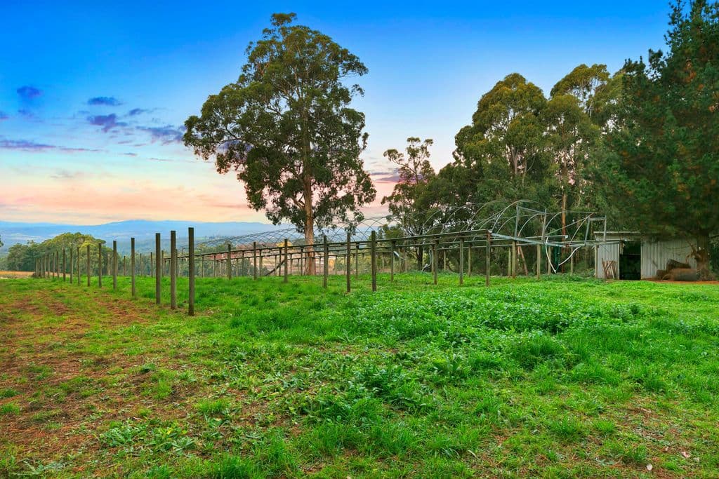 26 Wiseman Road, Monbulk VIC 3793, Monbulk - Thumbnail 3
