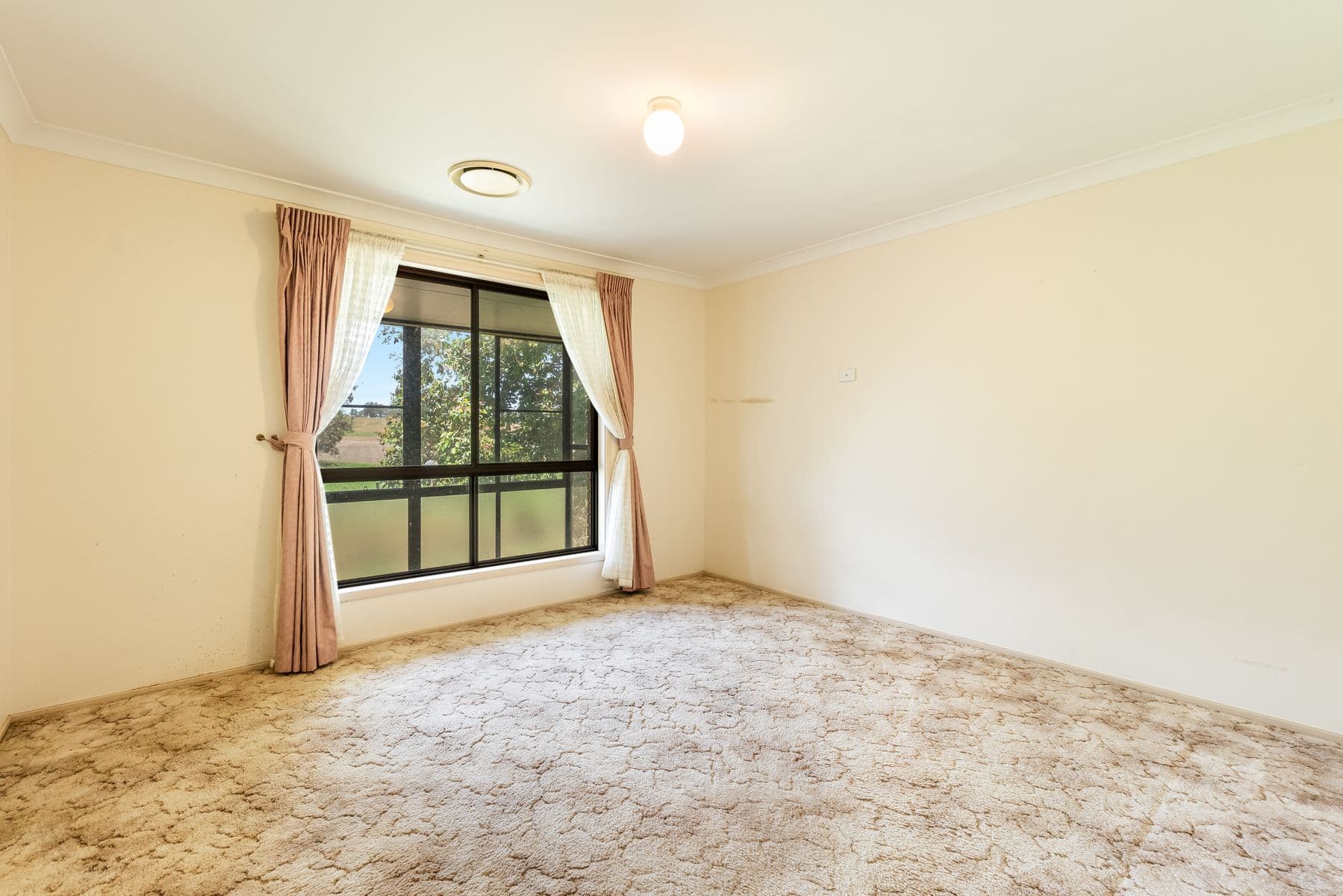 16 Sandilands Street, Mallanganee - Thumbnail 8