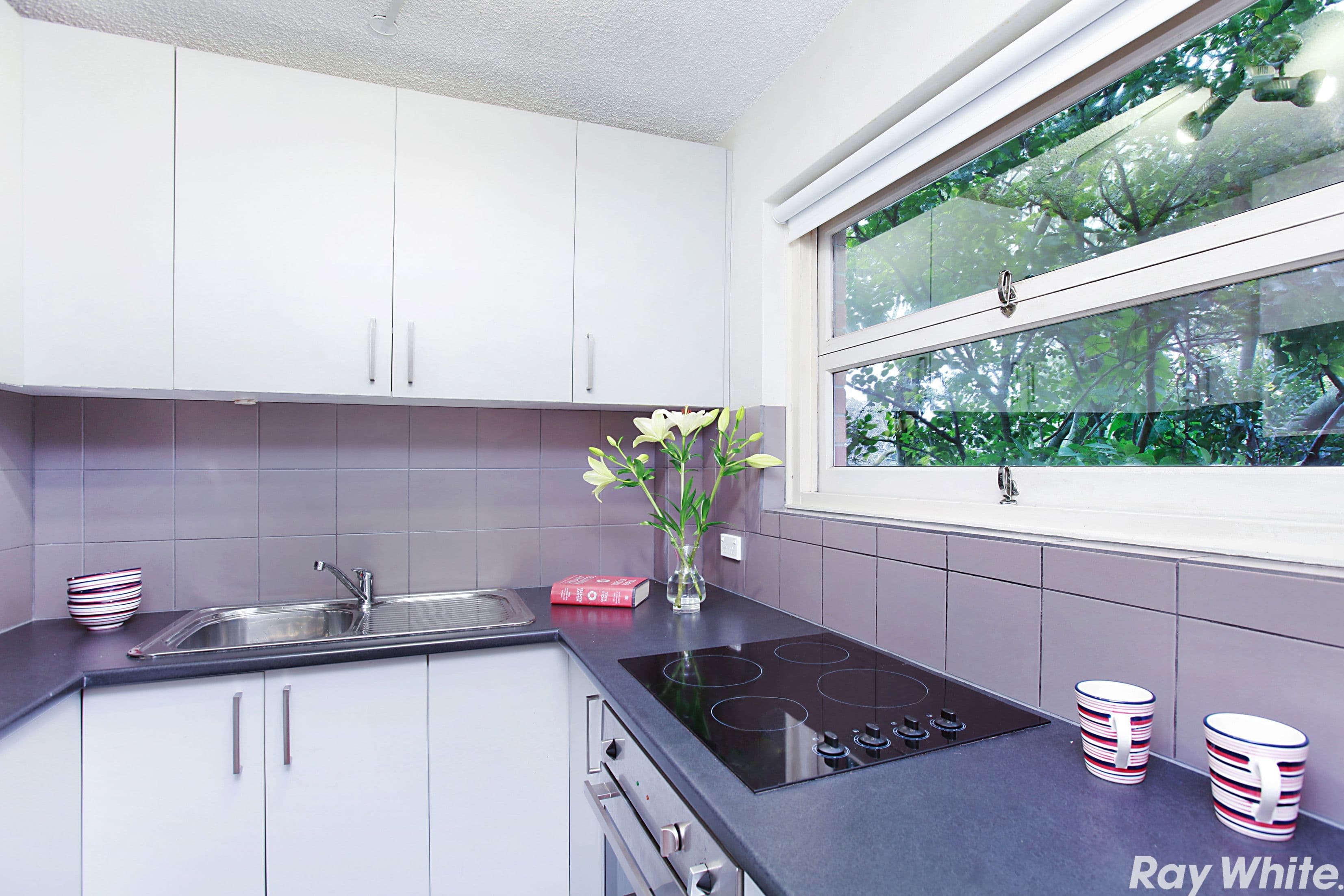 10a Cooper Street, Paddington NSW 2021, Paddington - Thumbnail 4