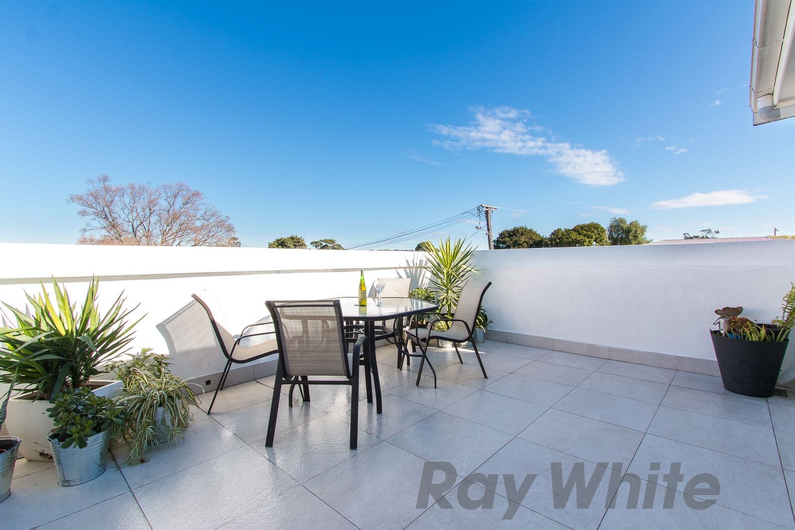 114 Maitland Road, Mayfield - Thumbnail 3
