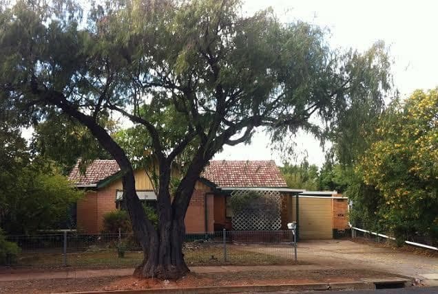 20 Woodcutts Road, DAVOREN PARK SA 5113, Davoren Park - Image 1