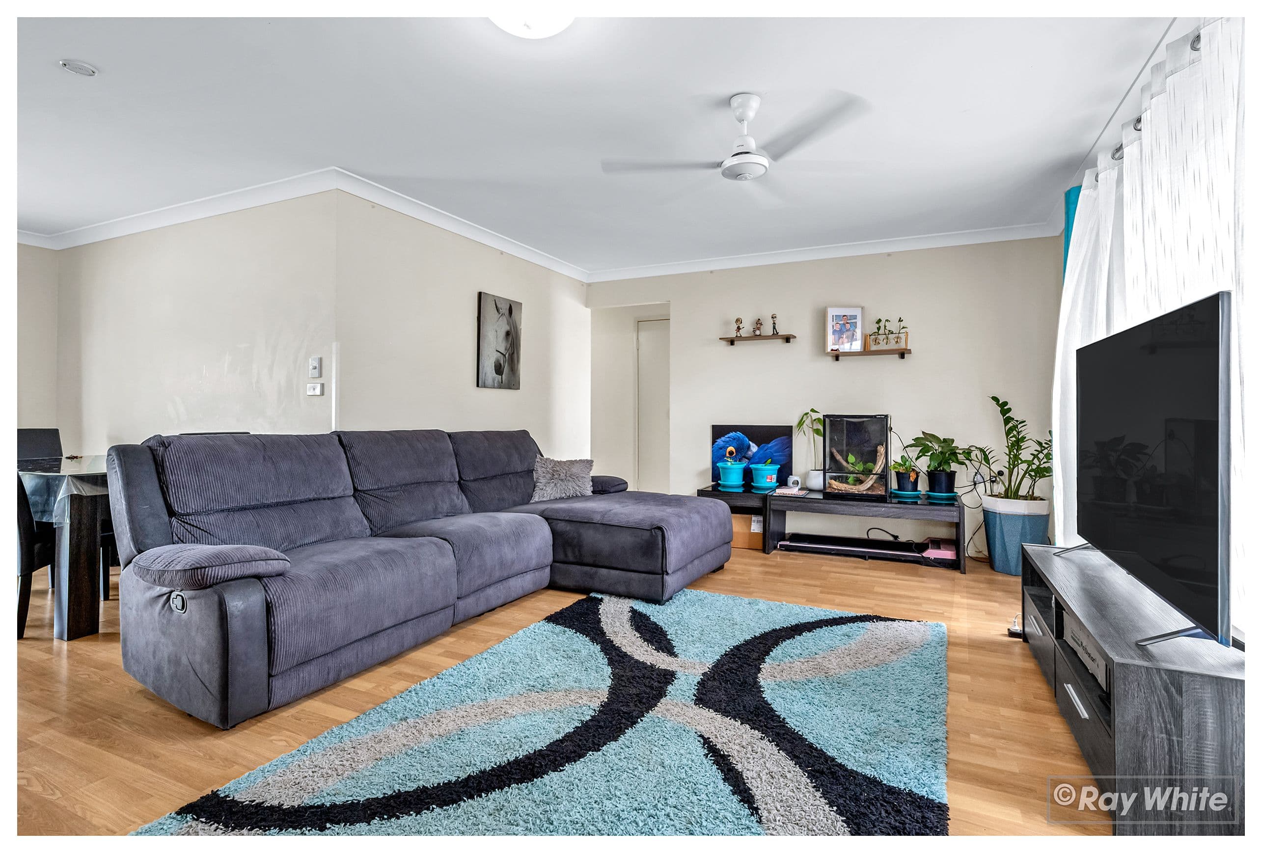 3 Tanner Court, Gracemere QLD 4702, Gracemere - Thumbnail 4