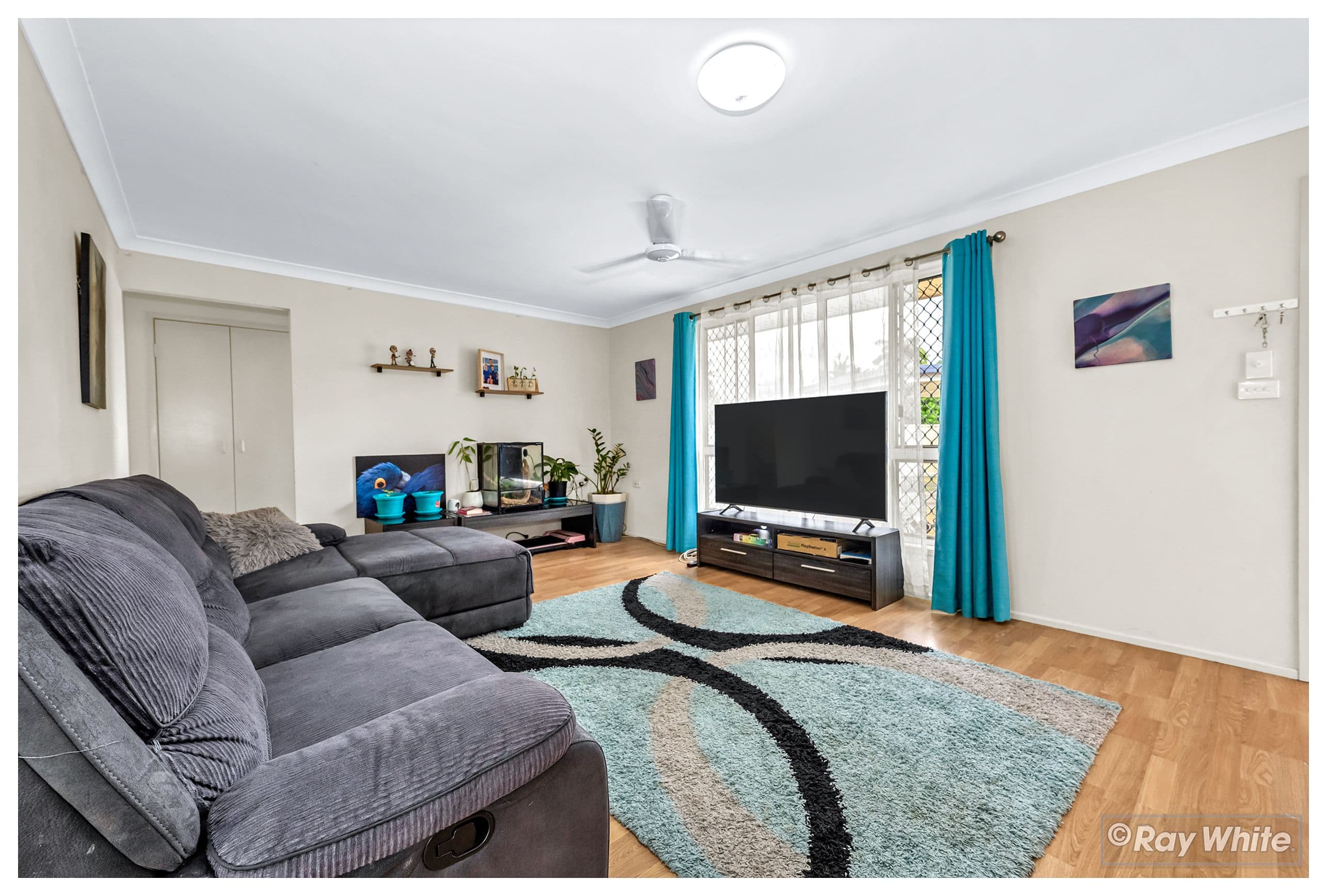 3 Tanner Court, Gracemere QLD 4702, Gracemere - Thumbnail 5