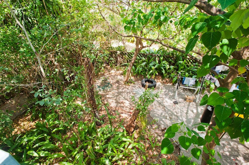 99 Holland Road, HOLLAND PARK QLD 4121, Holland Park - Thumbnail 7