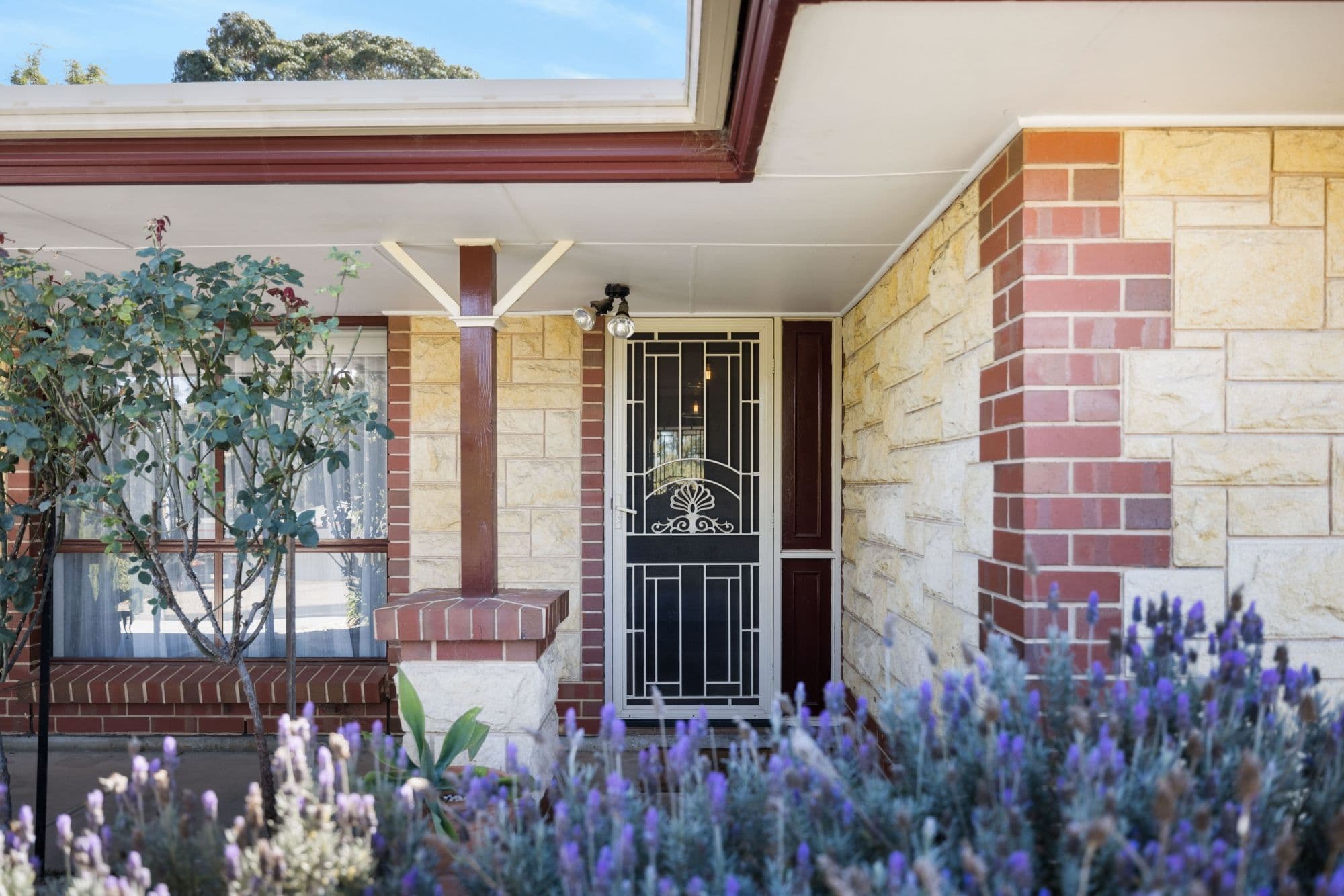 53 Ray Orr Drive, Mount Barker SA 5251, Mount Barker - Thumbnail 4