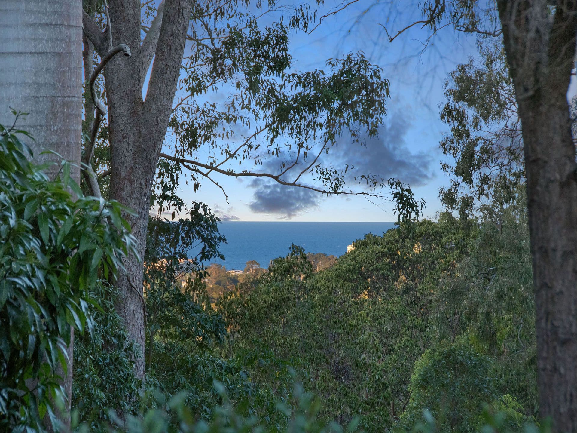 3 Darly Street, Buderim QLD 4556, Buderim - Thumbnail 8