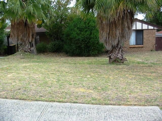 51 Bickner Way, PARMELIA WA 6167, Parmelia - Image 1