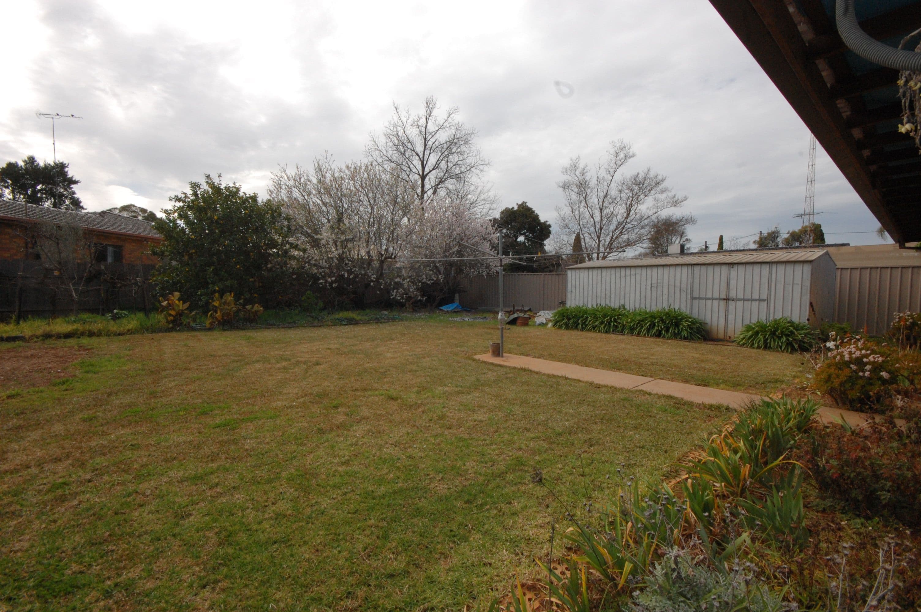3 Sanders Street, Griffith - Thumbnail 7