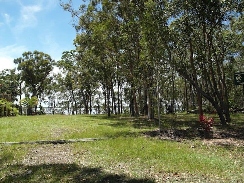 43 Morning Glory Drive, Cooroibah QLD 4565, Cooroibah - Thumbnail 2