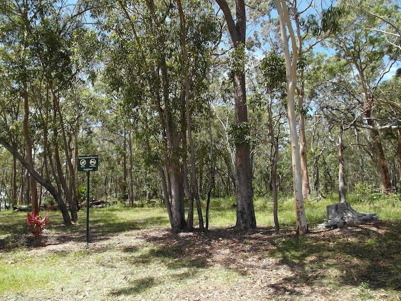 43 Morning Glory Drive, Cooroibah QLD 4565, Cooroibah - Thumbnail 3