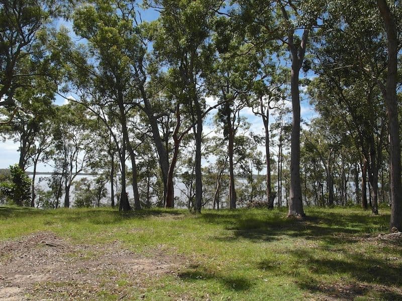 43 Morning Glory Drive, Cooroibah QLD 4565, Cooroibah - Thumbnail 4