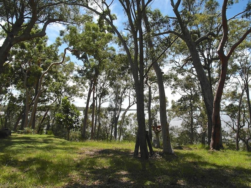 43 Morning Glory Drive, Cooroibah QLD 4565, Cooroibah - Thumbnail 5
