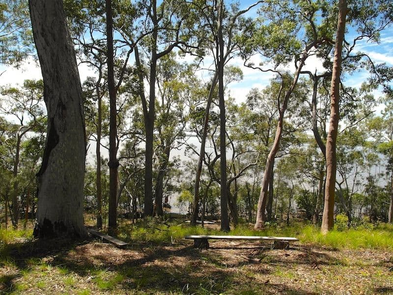 43 Morning Glory Drive, Cooroibah QLD 4565, Cooroibah - Thumbnail 6