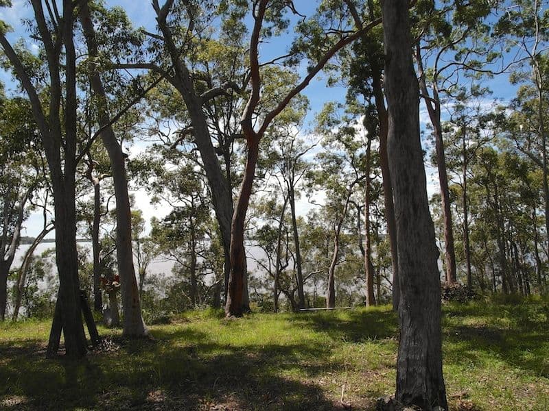 43 Morning Glory Drive, Cooroibah QLD 4565, Cooroibah - Thumbnail 7