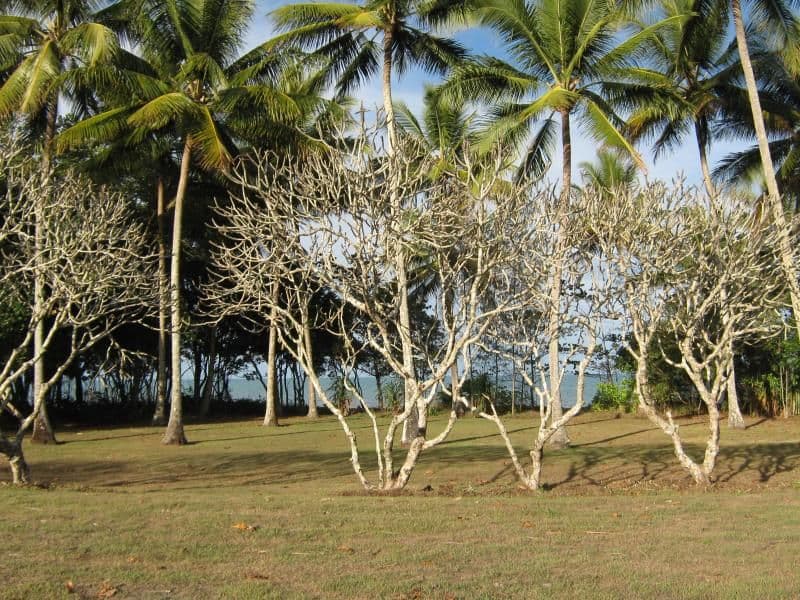 42 Marine Parade, NEWELL QLD 4873, Newell - Thumbnail 2