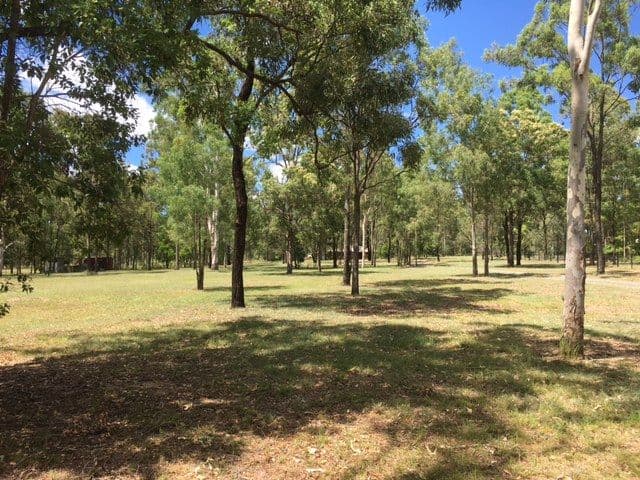 9-15 The Grange Road, Gleneagle QLD 4285, Gleneagle - Thumbnail 4