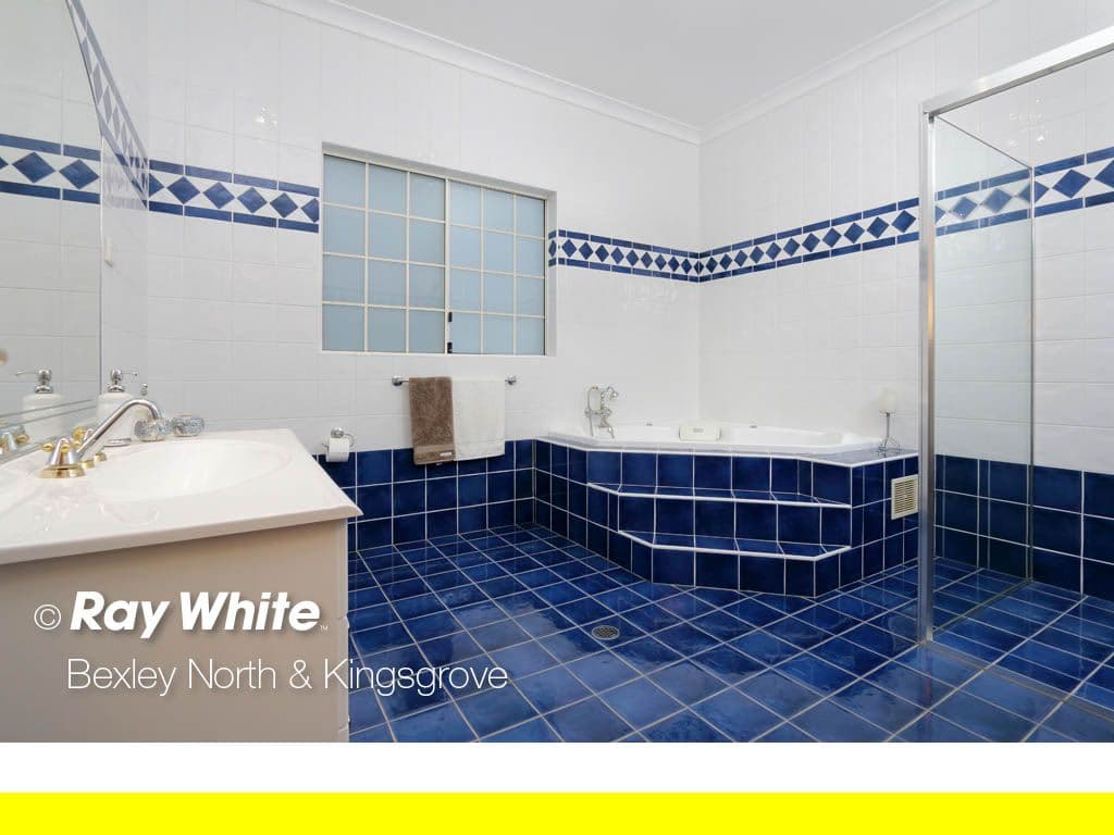17 Henderson Road, Bexley NSW 2207, Bexley - Thumbnail 8