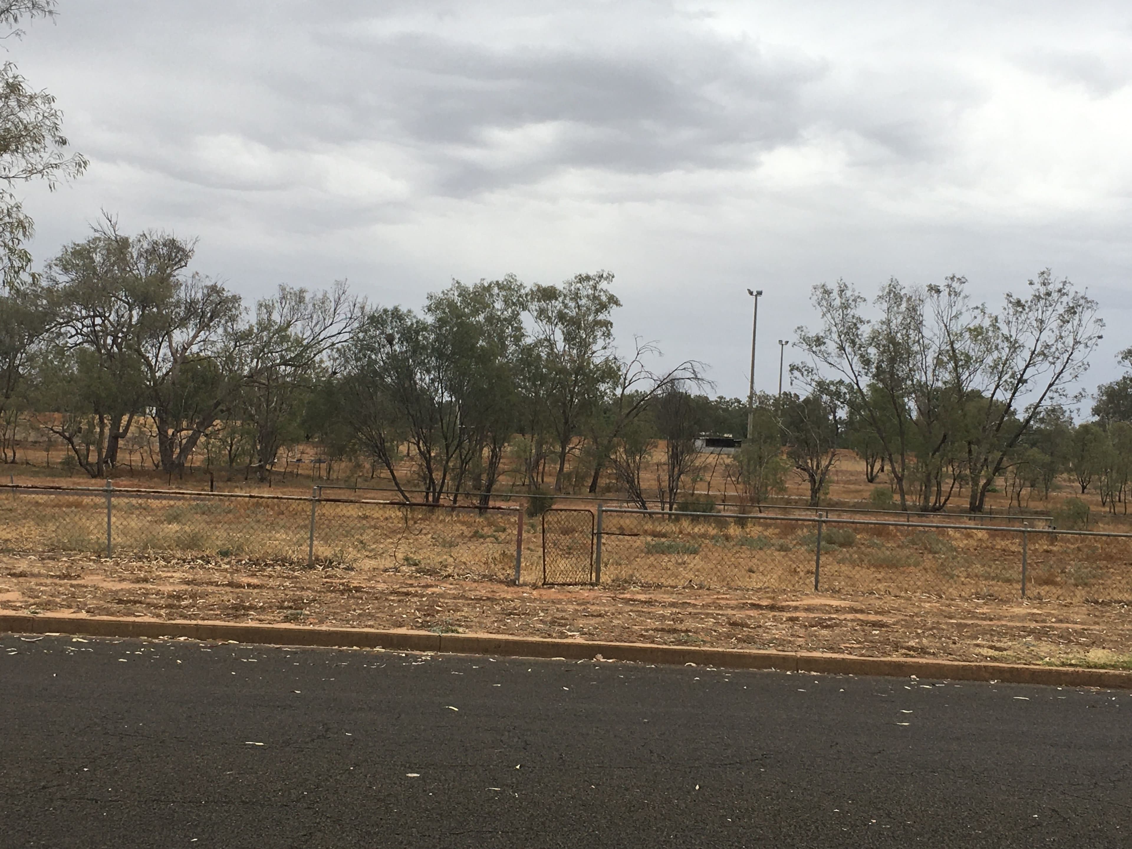 25 Galatea Street, Charleville QLD 4470, Charleville - Thumbnail 2