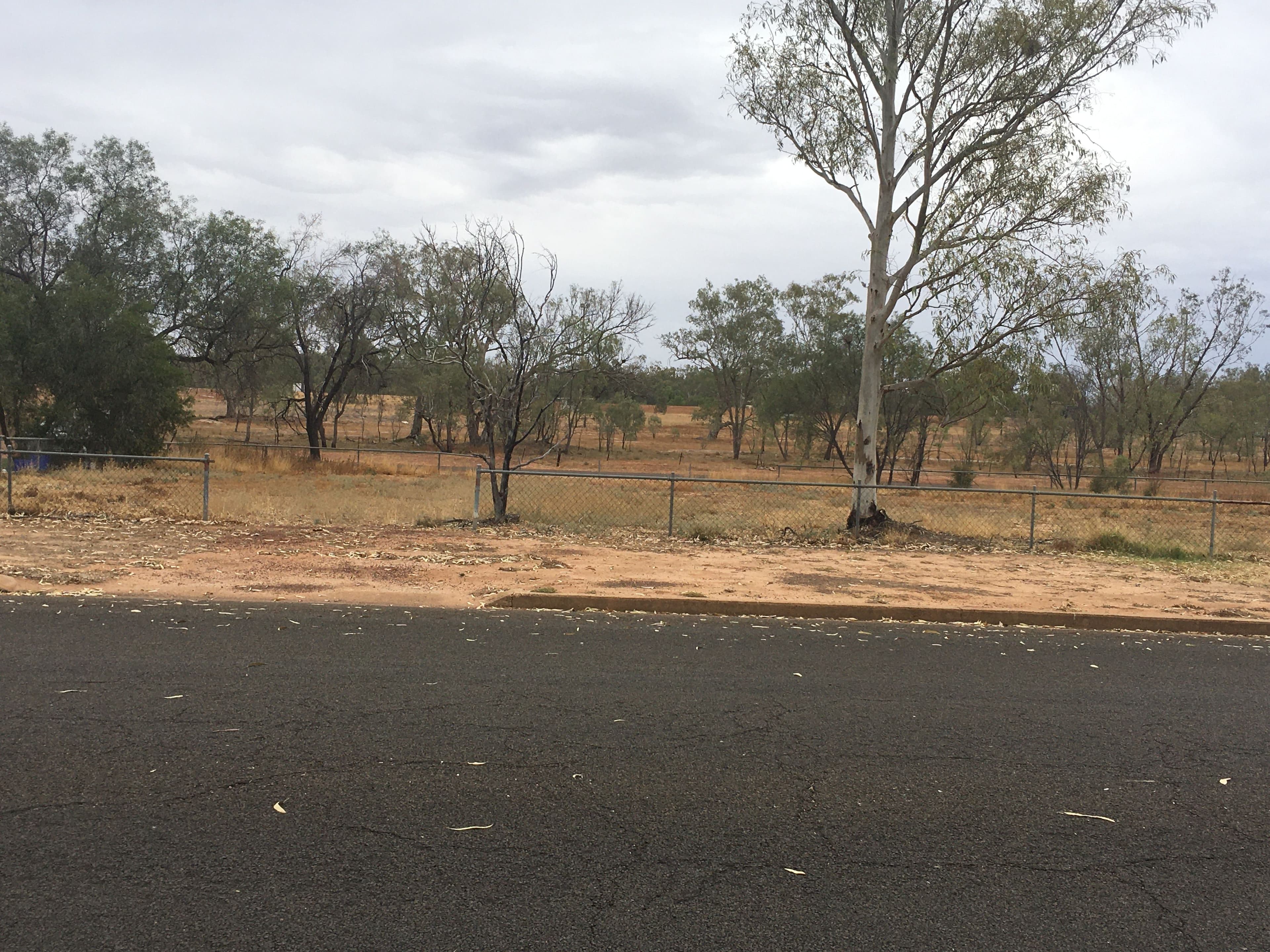 25 Galatea Street, Charleville QLD 4470, Charleville - Thumbnail 3