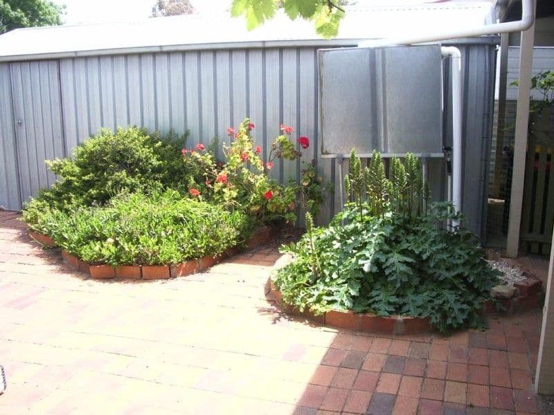 22 Bertha, BORDERTOWN SA 5268, Bordertown - Thumbnail 4