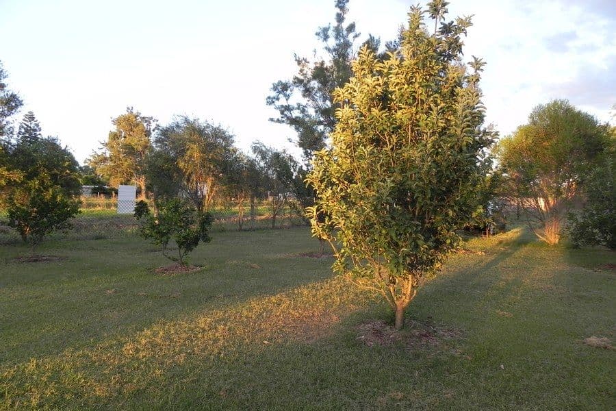 6 Sterling Street, Southbrook QLD 4363, Southbrook - Thumbnail 4