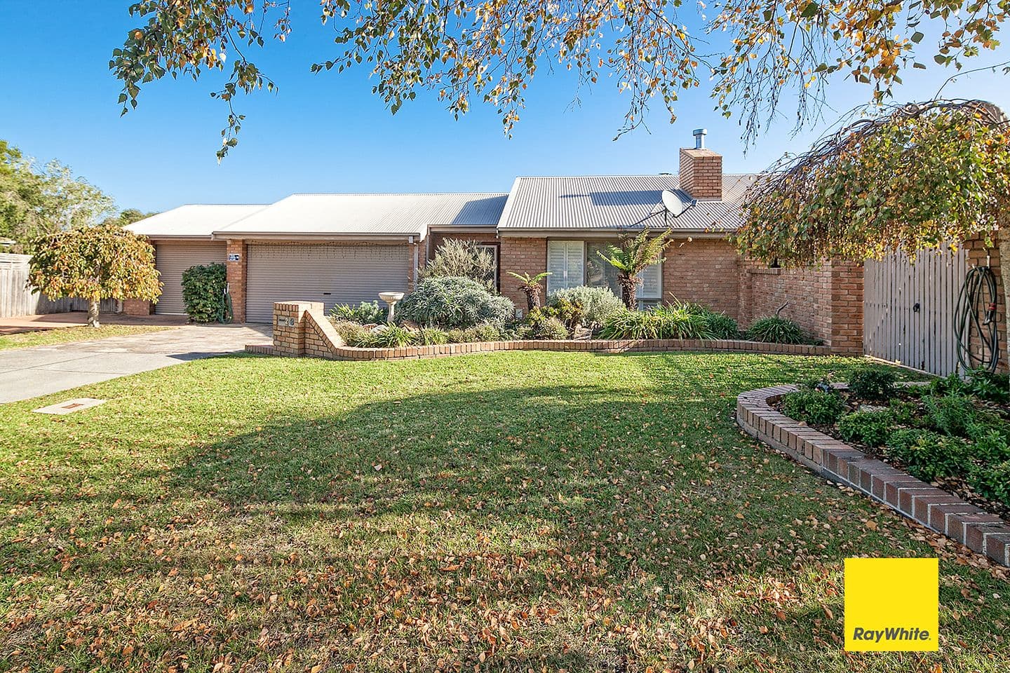 59 Young Street, Annandale - Image 1
