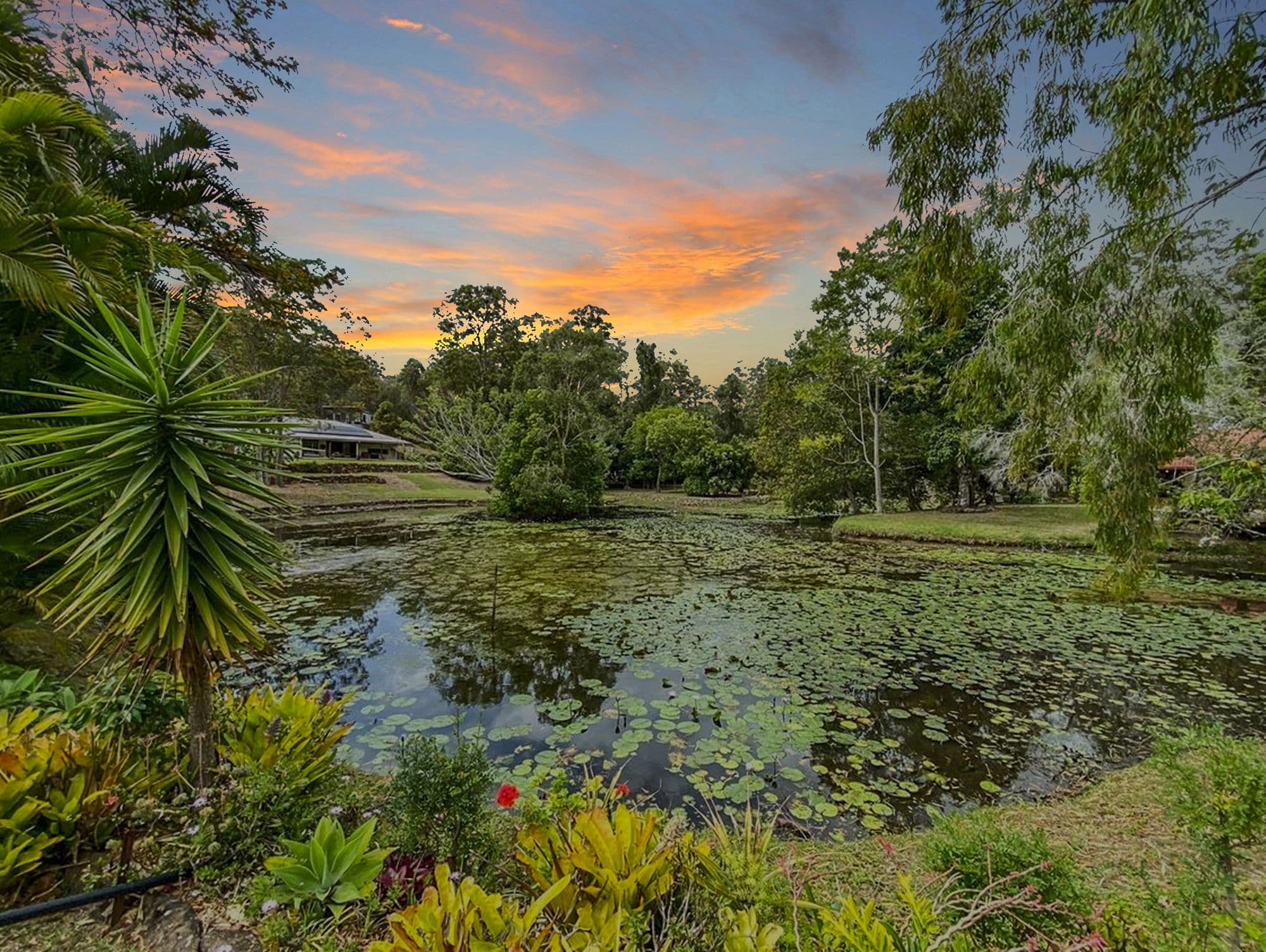 53 Coorabin Court, Tallebudgera QLD 4228, Tallebudgera - Image 1