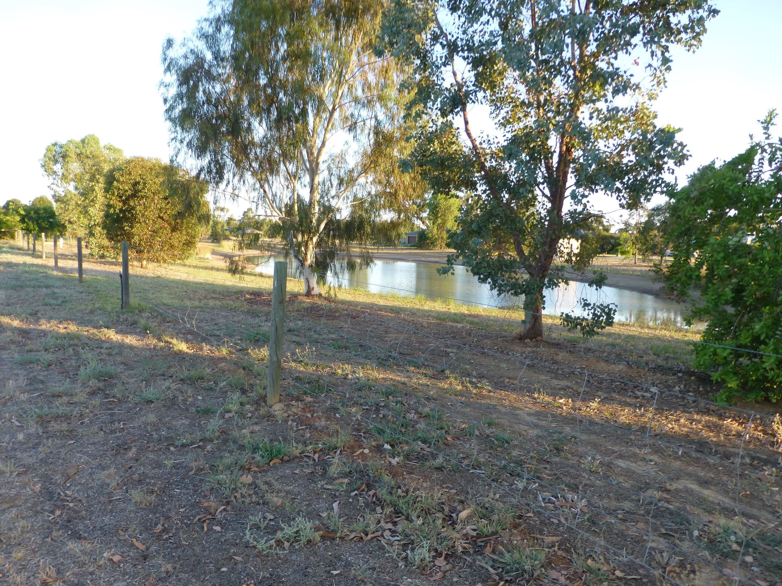 7 Manzanillo Avenue, Moama NSW 2731, Moama - Image 1