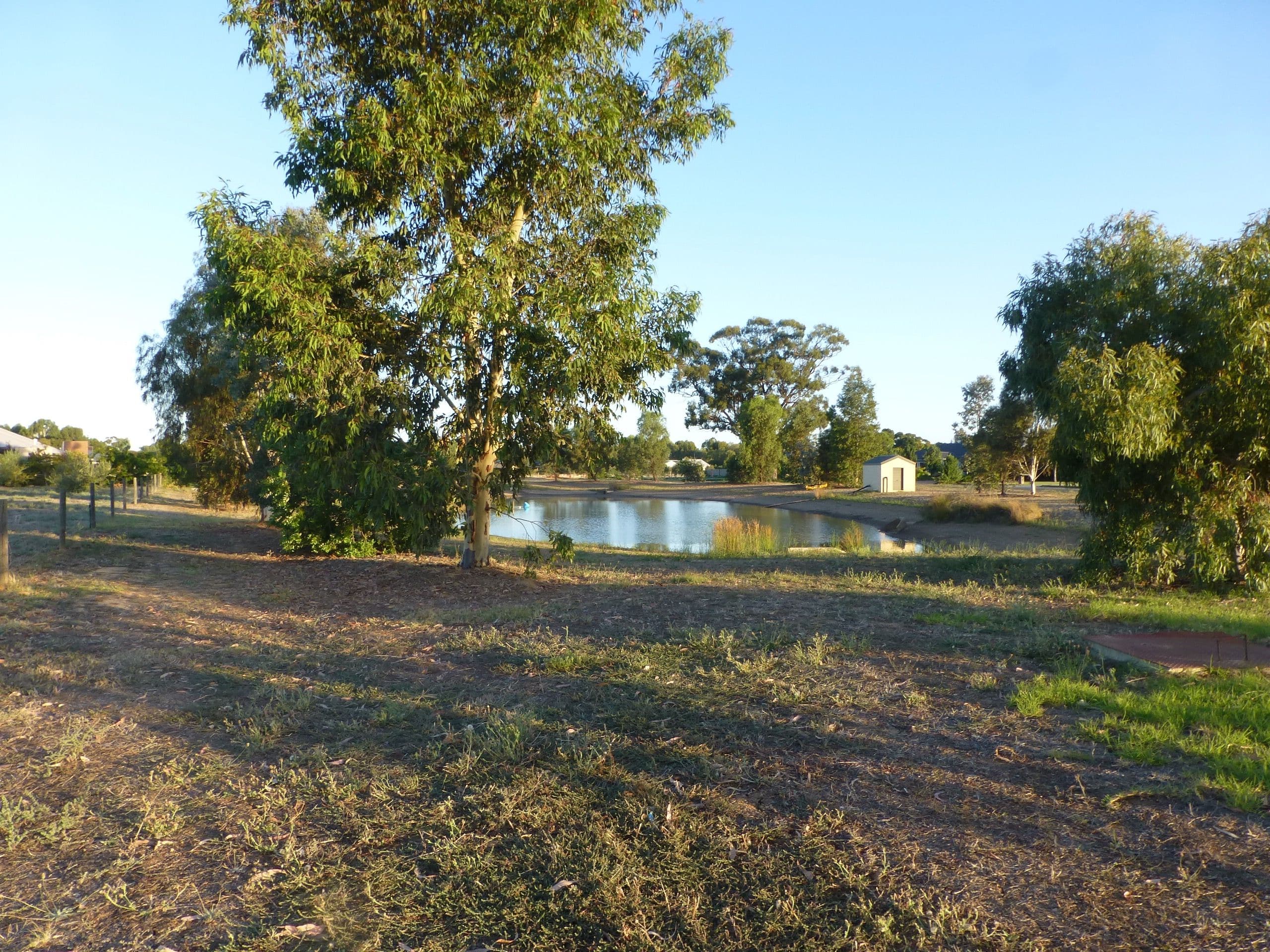 7 Manzanillo Avenue, Moama NSW 2731, Moama - Thumbnail 2