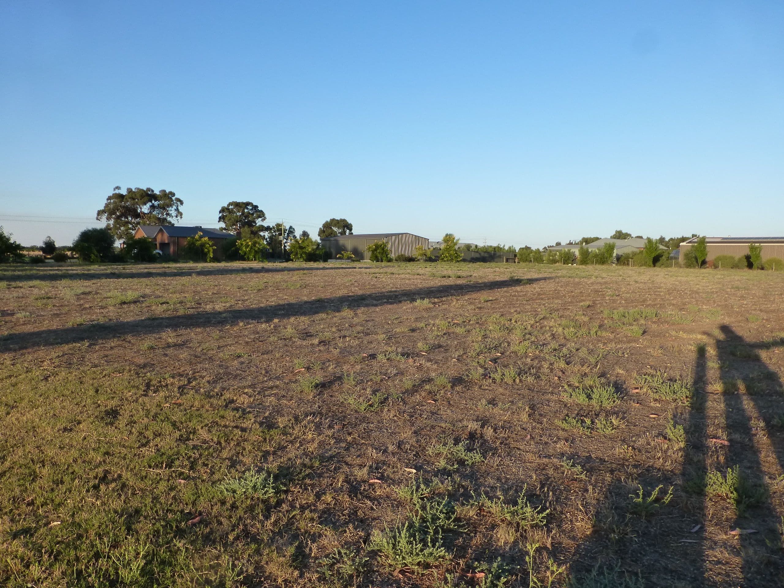 7 Manzanillo Avenue, Moama NSW 2731, Moama - Thumbnail 4