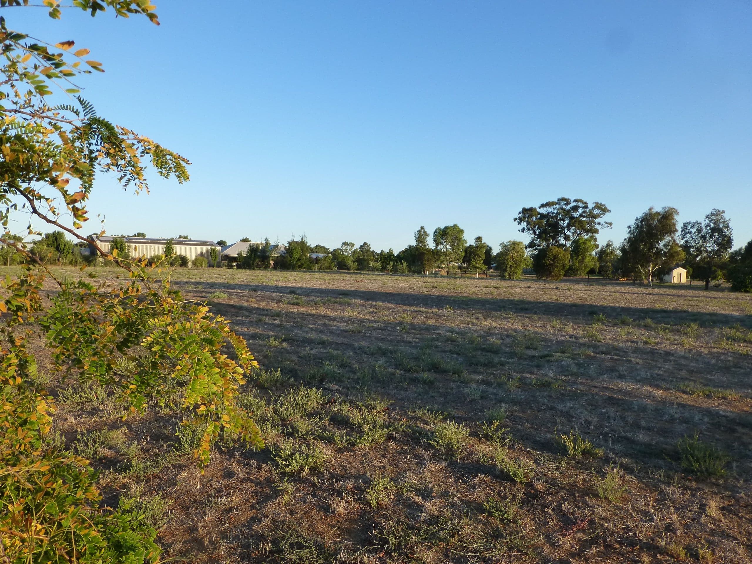 7 Manzanillo Avenue, Moama NSW 2731, Moama - Thumbnail 5