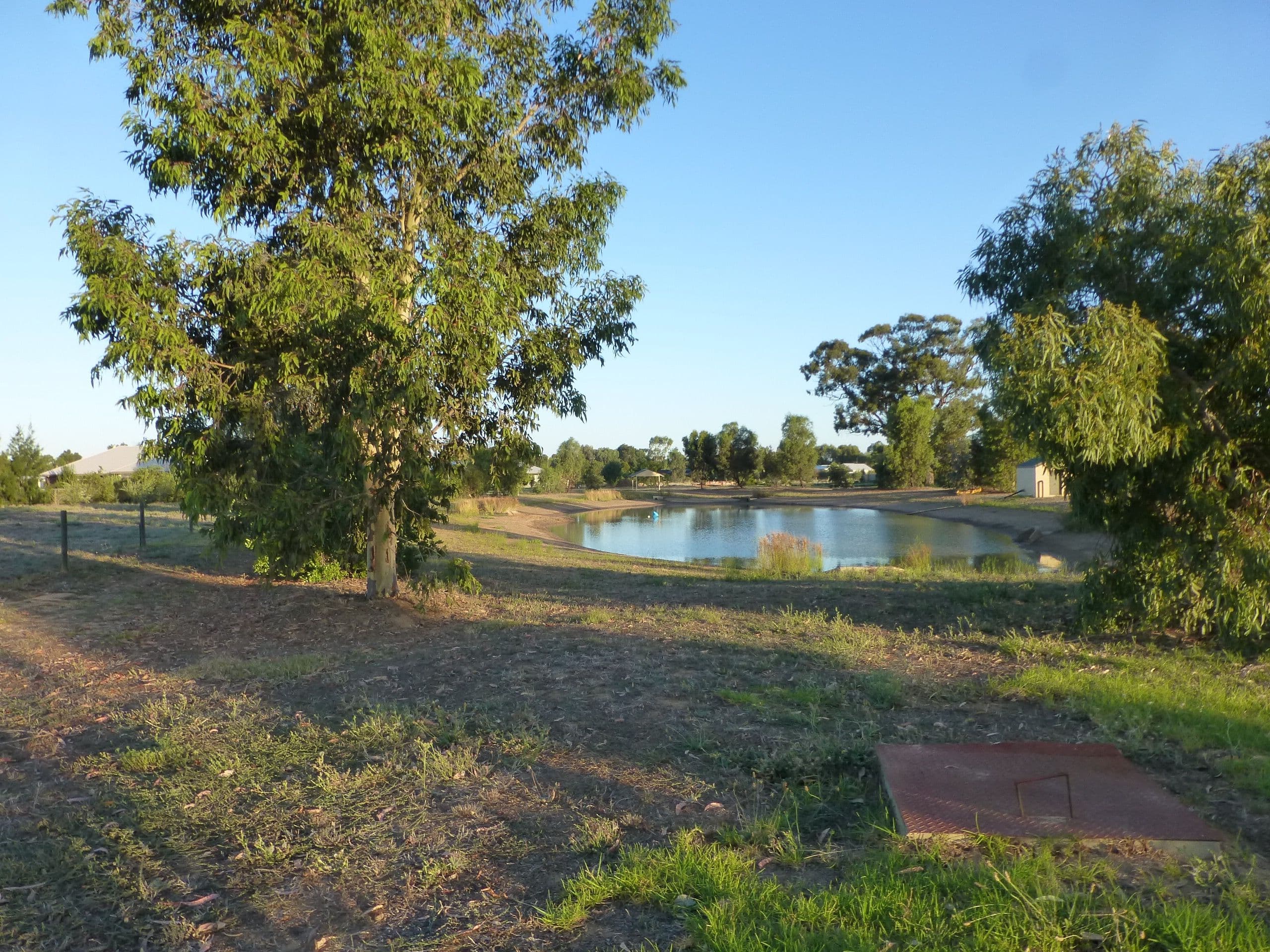 7 Manzanillo Avenue, Moama NSW 2731, Moama - Thumbnail 7