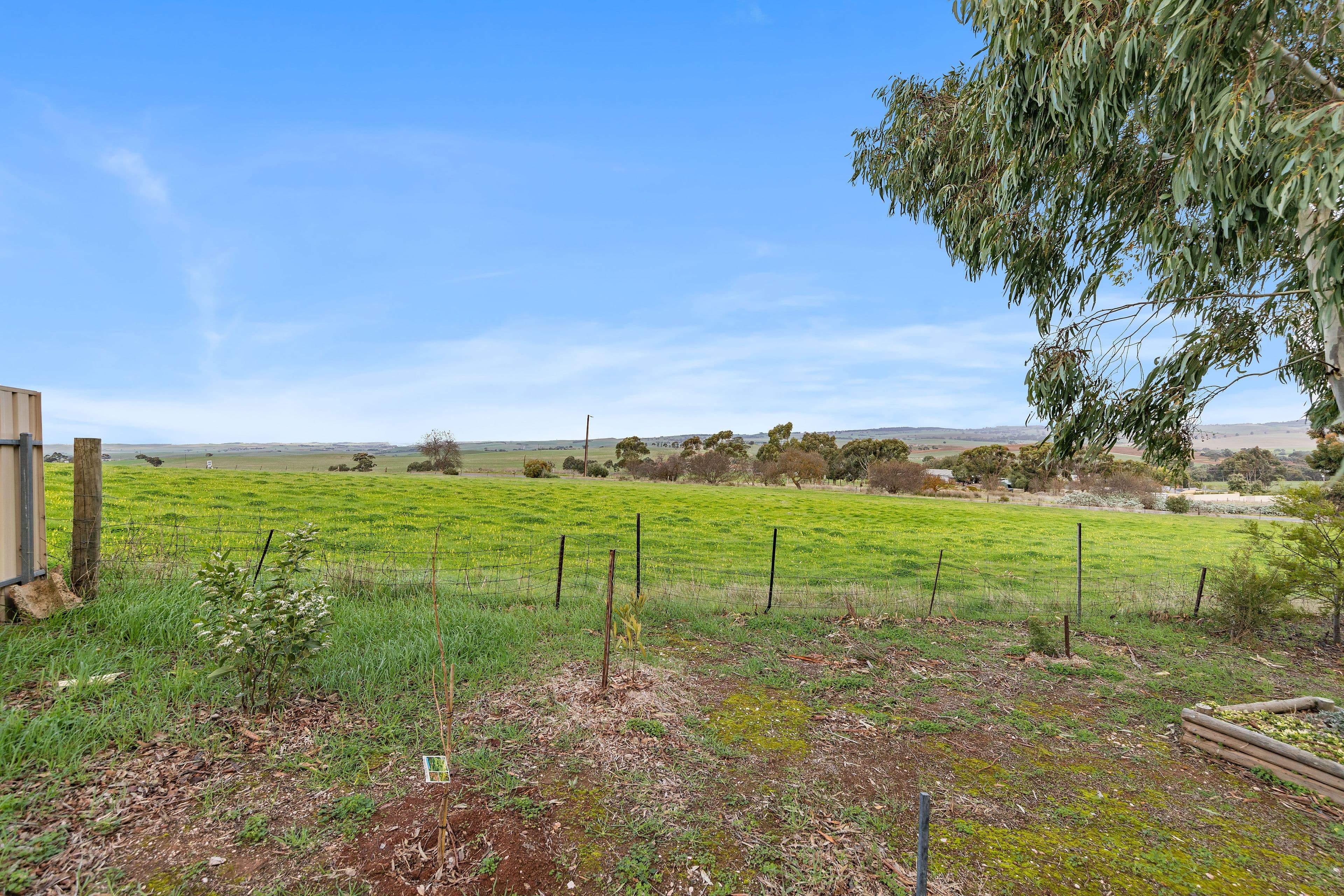 12 Amelia Street, Kapunda SA 5373, Kapunda - Thumbnail 4