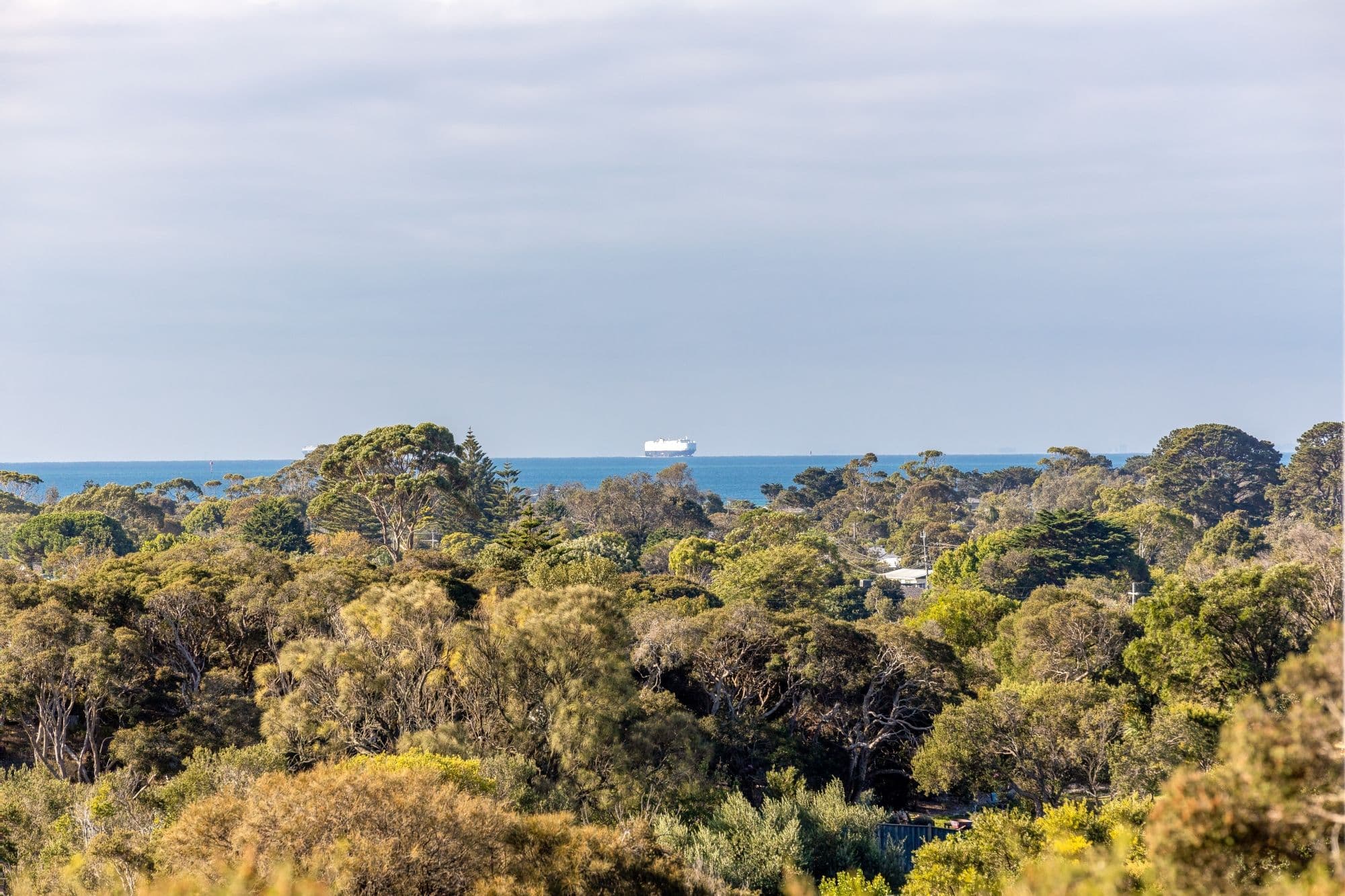 16 Cowrie Court, Tootgarook VIC 3941, Tootgarook - Thumbnail 3