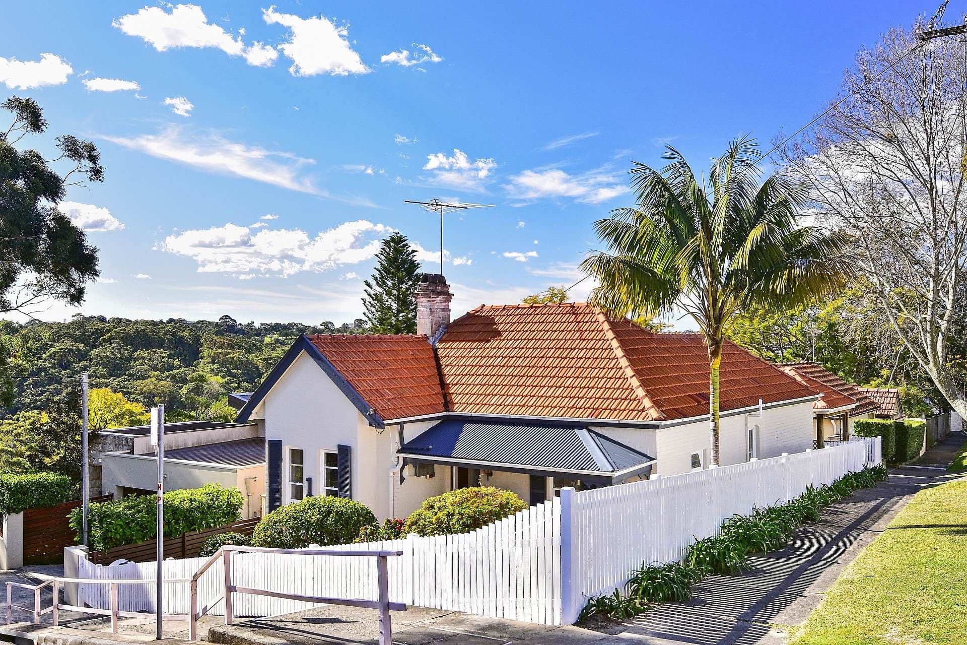1 Tiley Street, Cammeray - Thumbnail 7