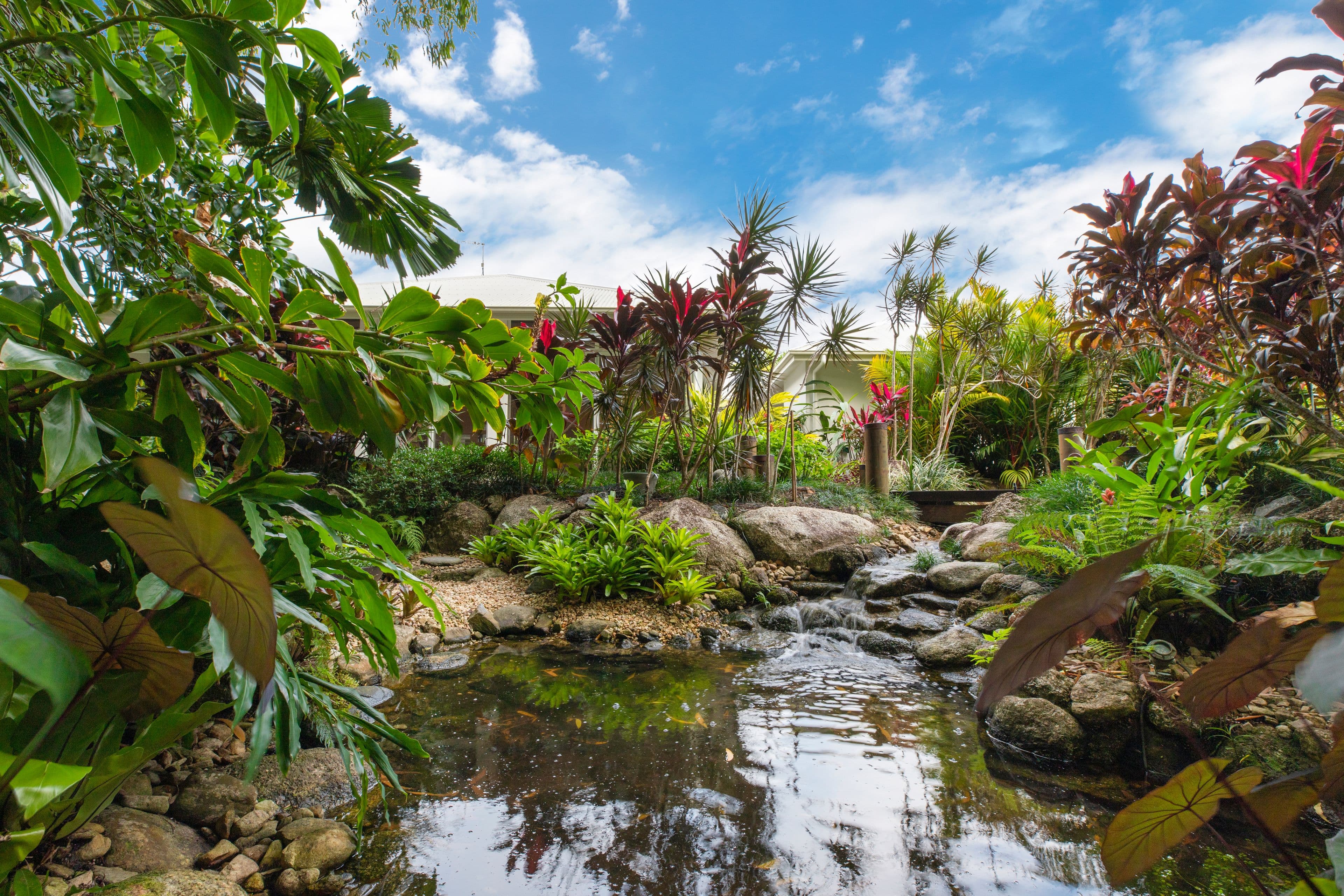 13 Egret Close, Port Douglas QLD 4877, Port Douglas - Thumbnail 7