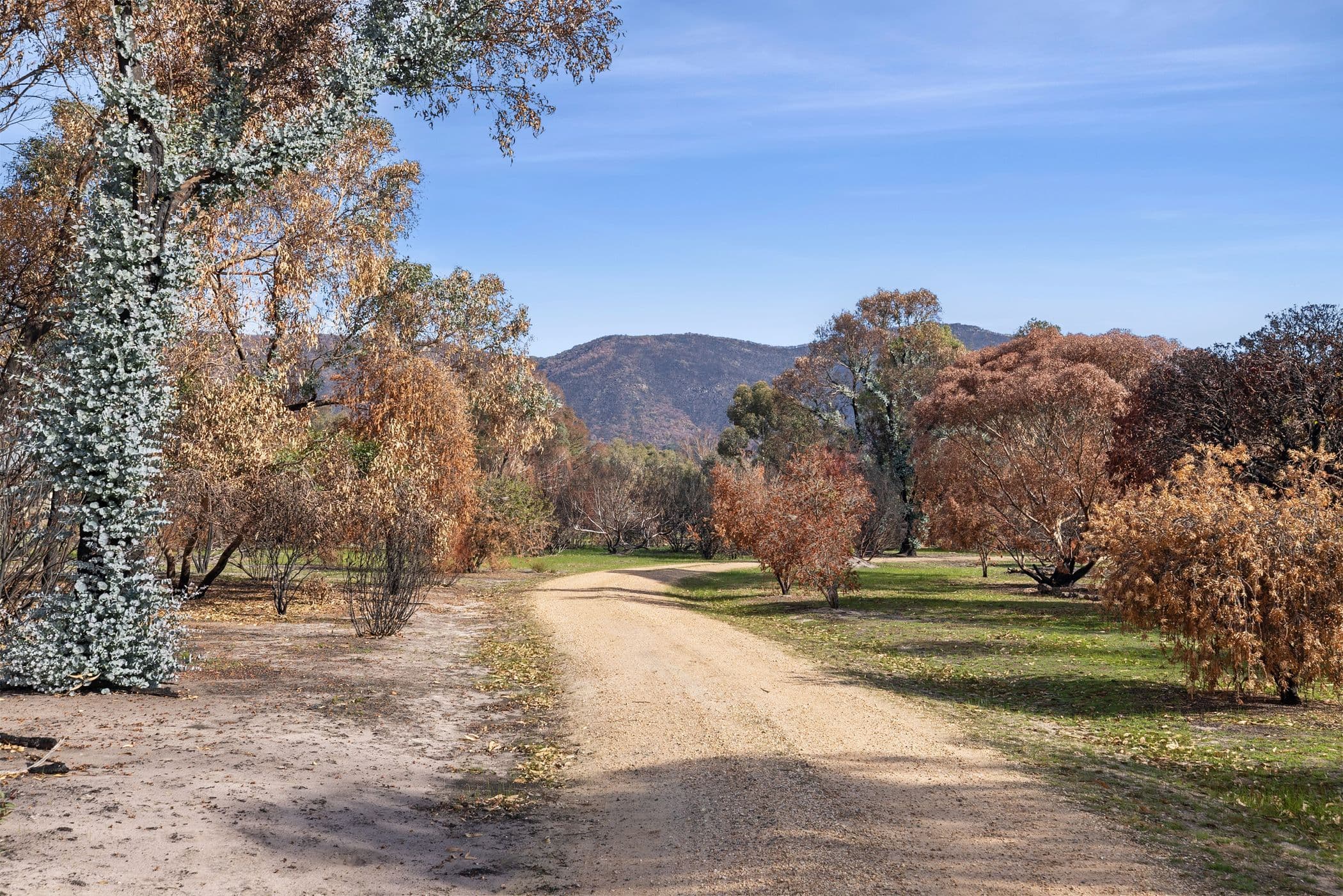 26 Waterhole Road, Pomonal VIC 3381, Pomonal - Thumbnail 8