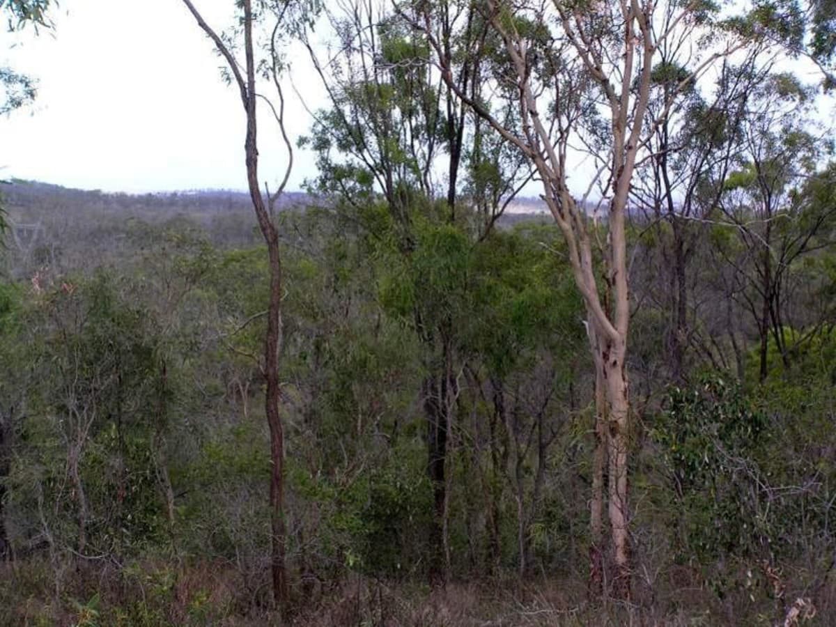 726 Aremby Road, BOULDERCOMBE QLD, Bouldercombe - Thumbnail 2